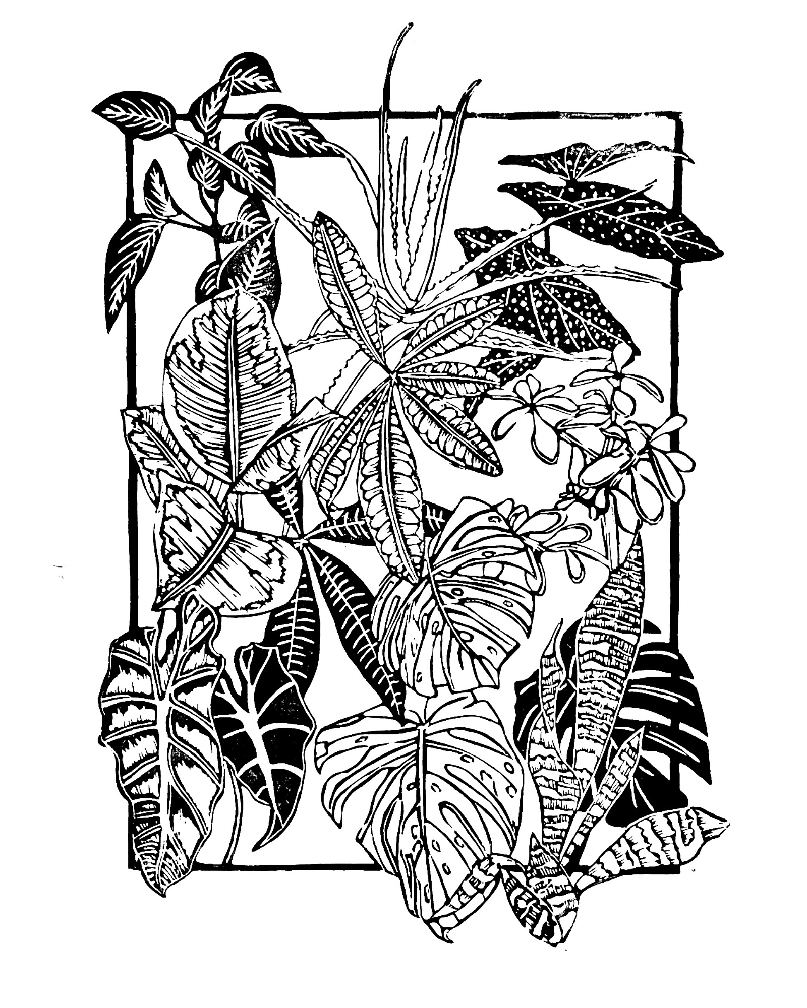 Untitled design - 7.PNG (Copy)