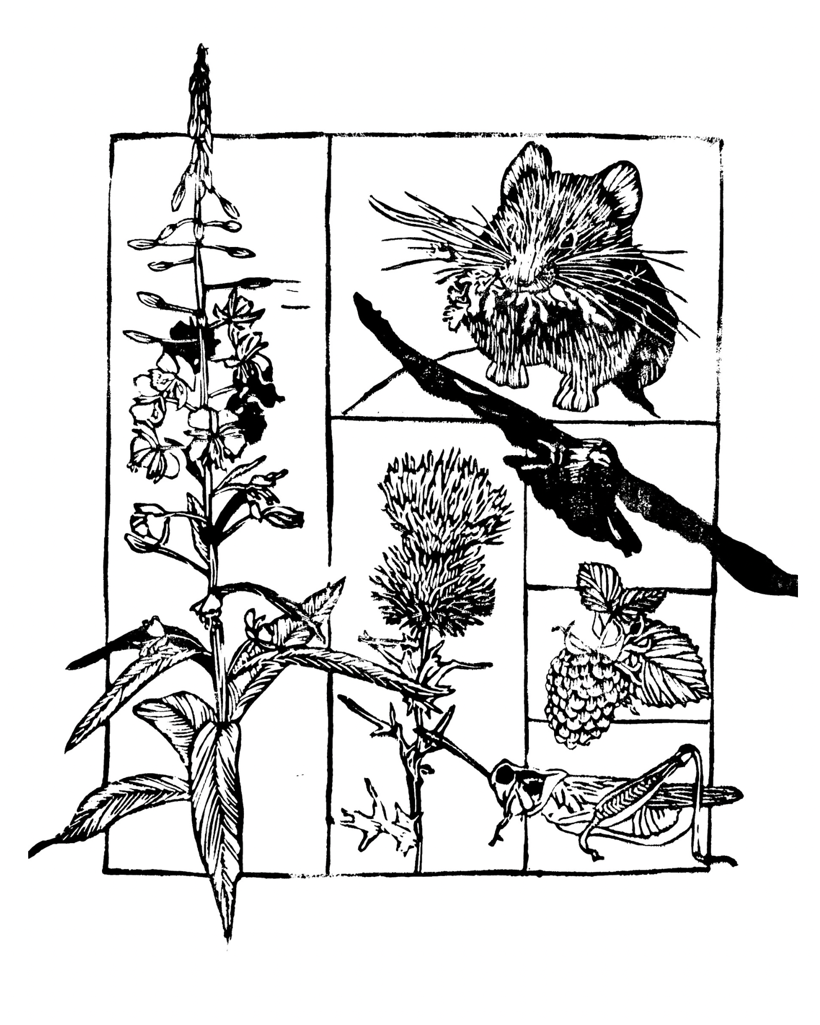 Untitled design - 4.PNG (Copy)