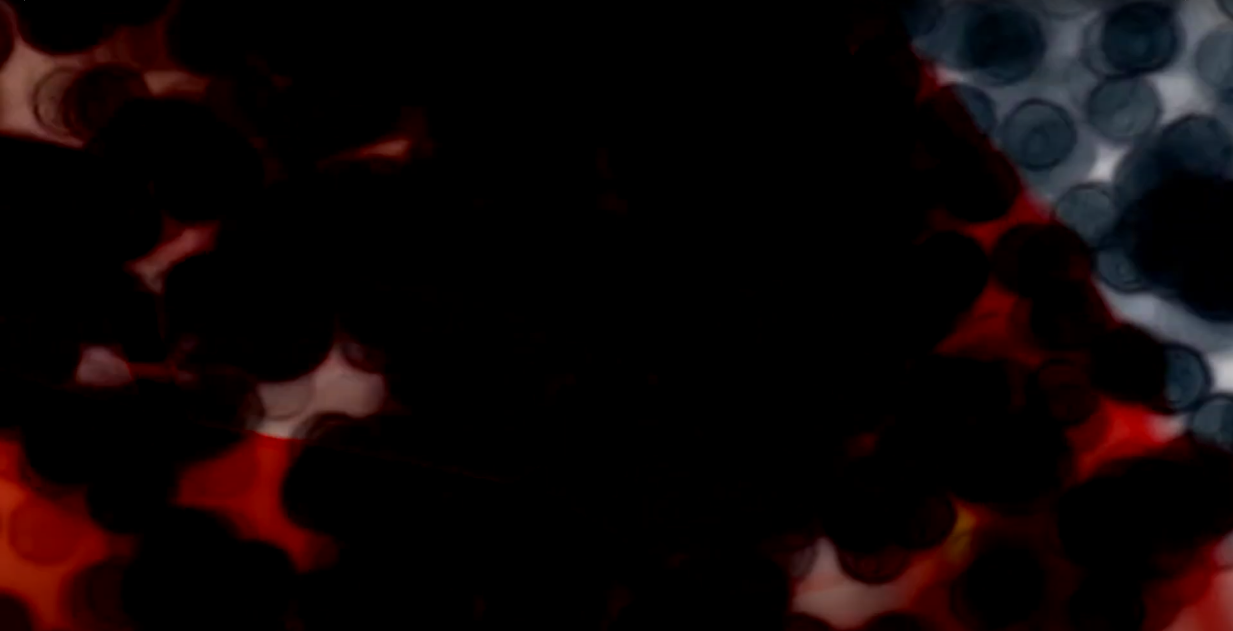 스크린샷 2024-12-12 200705.png