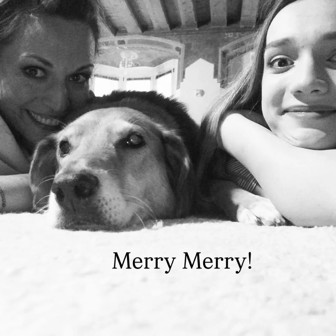 Lieber Mensch,

ich schreibe diese Zeilen im Bett sitzend, zwischen Vorweihnachtst&uuml;r und Festtagsangeln. Kurz gesagt an Tagen, die vor F&uuml;lle und pulsierender Lebendigkeit zu platzen scheinen.

Mit meiner Tochter, die &uuml;ber die Feiertage