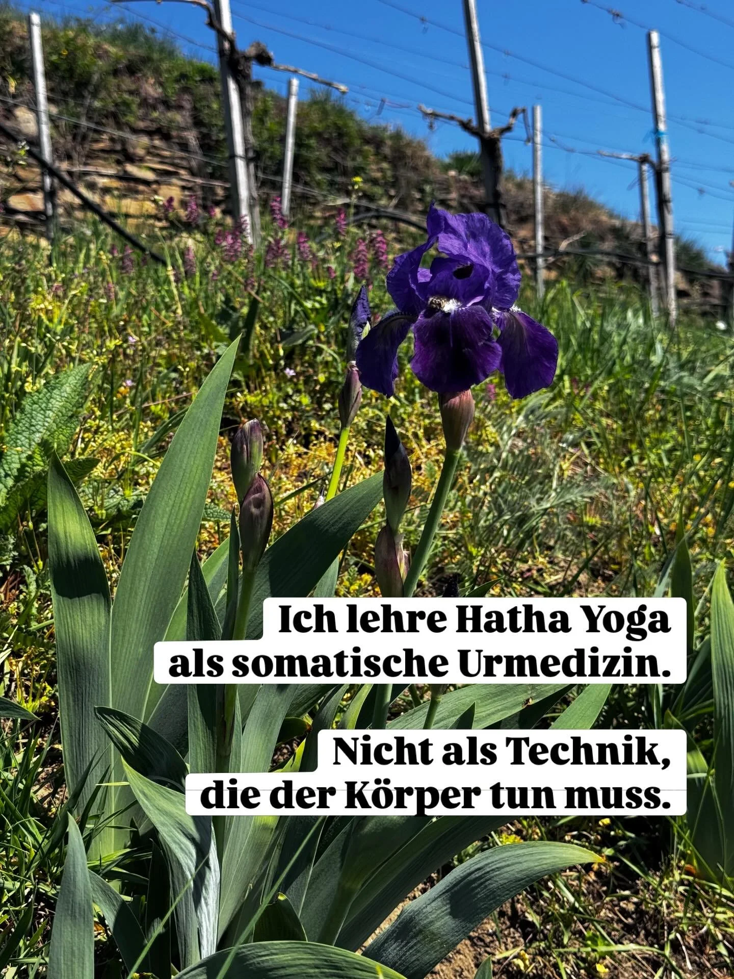 Wenn man den Hatha Yoga in den tantrischen Raum holt, zeigt sich so viel mehr als Technik, die man anwendet. Es offenbart sich somatische Urmedizin, wie ich sie gerne nenne.

Formelle Praxis beginnt mit dem Alltag zu verschmelzen. 
Das um-zu schwinde