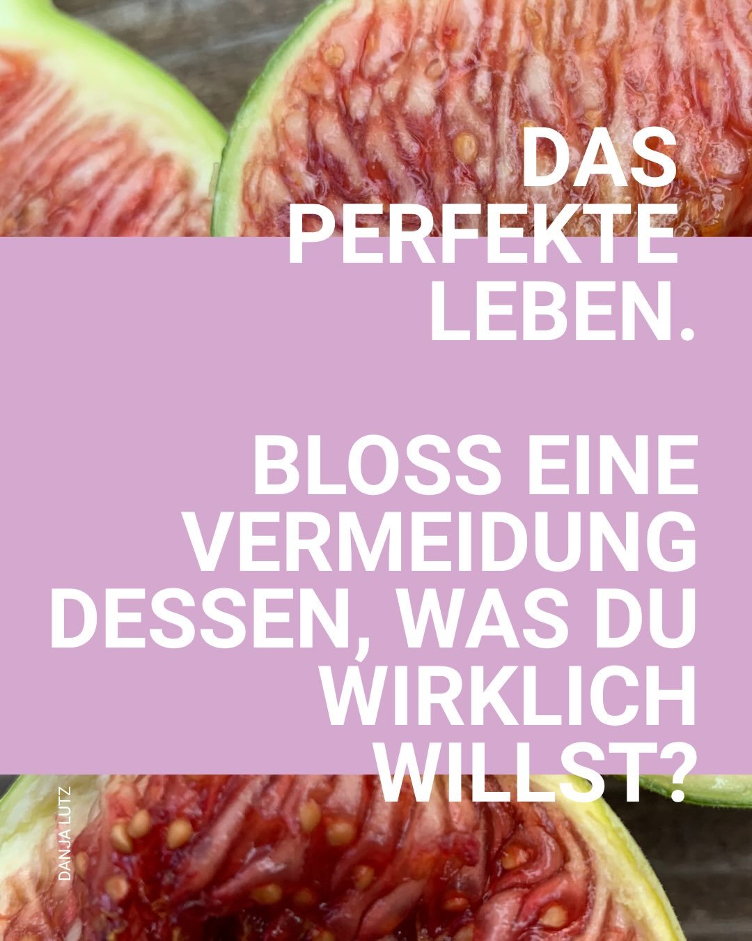 Lasst uns sichtbar sein.
Mit all unseren Sehns&uuml;chten. 
Lasst uns der perfekten Taubheit 
unser unperfektes Leben entgegen setzen. 

Jeden Tag voller Poesie im K&ouml;rper.
Mit brennendem Herzen
in den Sturm schreien:

&rdquo;Ich will!&rdquo;

Li