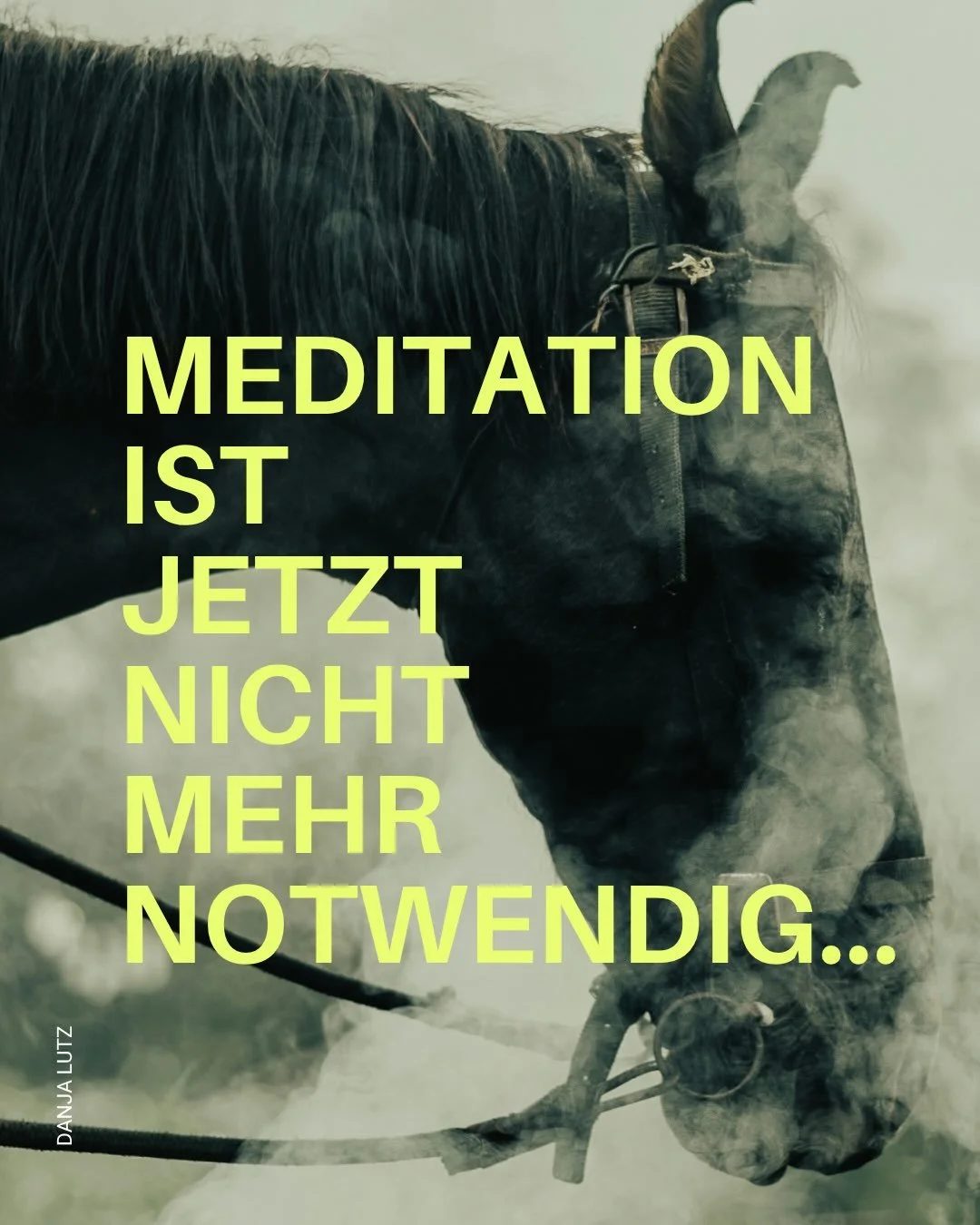 Wir d&uuml;rfen Unterscheidung lernen. 

Nat&uuml;rlich brauchst du Meditation nicht, um bestimmte psychophysiologische Zust&auml;nde zu erreichen. Die Aussage ist deshalb so trivial, weil Spiritualit&auml;t nie behauptet hat, dass Meditation deshalb