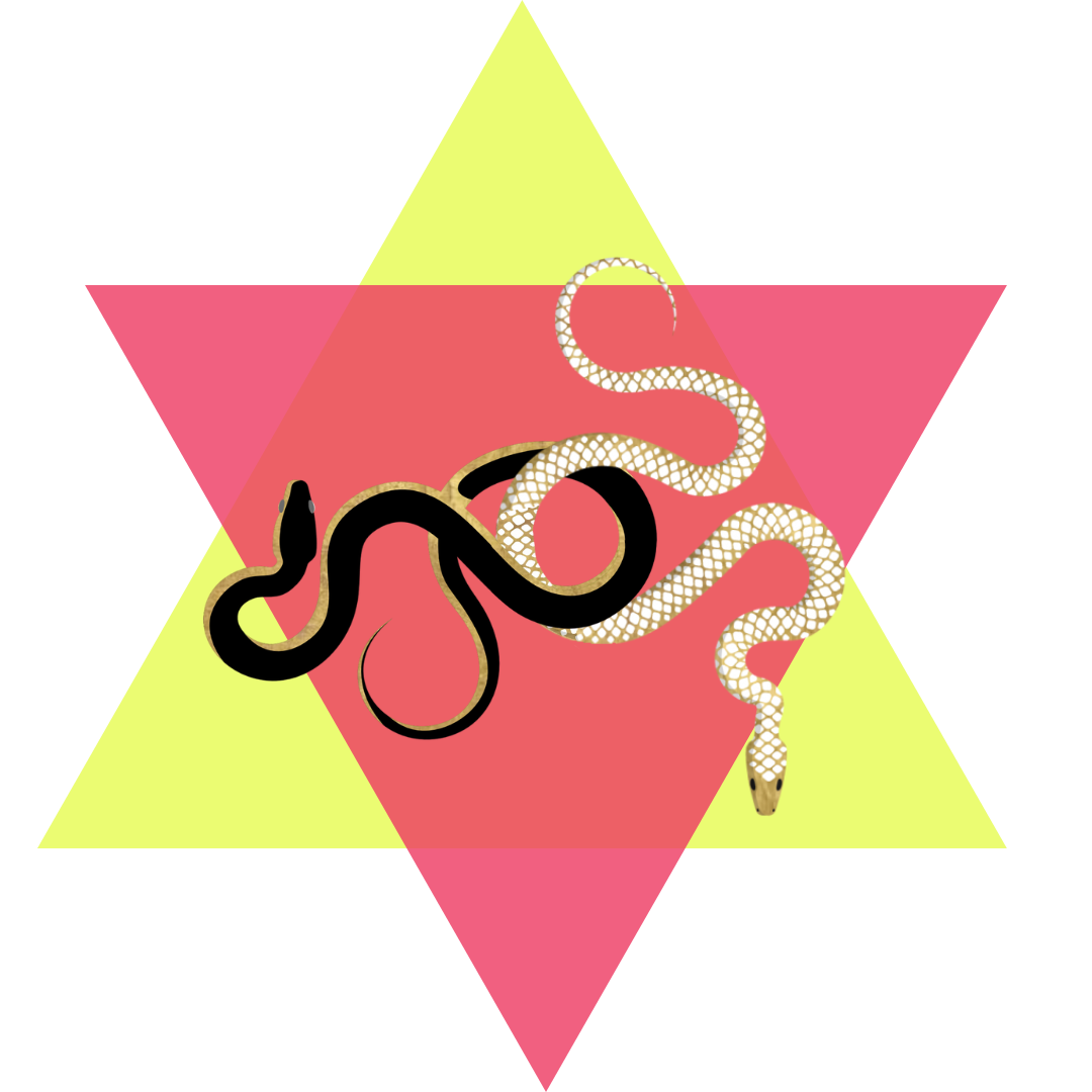 Zwei Schlangen als Symbol für nondualen Tantra auf der Website von Danja Lutz