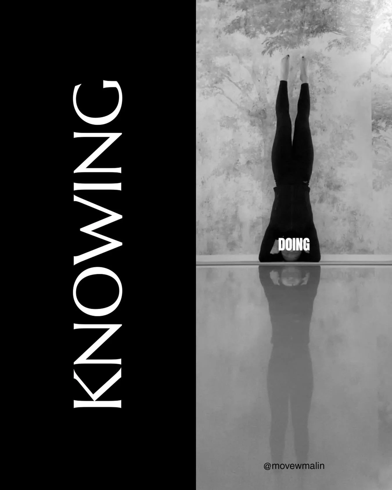 You don&rsquo;t need more information.
You need action.

Action births change.
Change creates new habits.
Habits shape your reality.

Start moving, stop reading.

Take ACTION.

&mdash;
Are you ready to transform your knowledge into action? I help peo