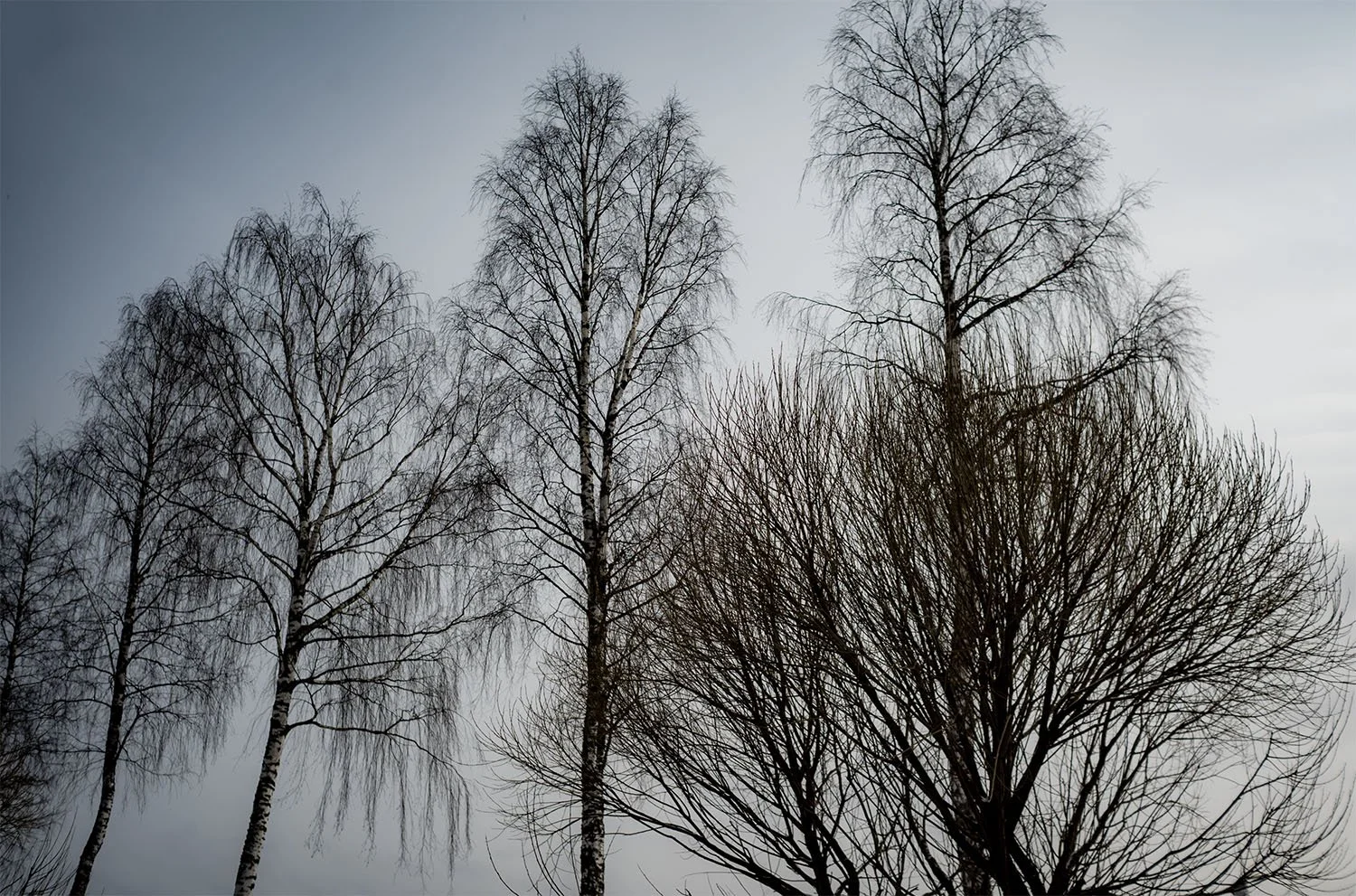 Norway-Photography-by-Satyaki-Ghosh_17.JPG