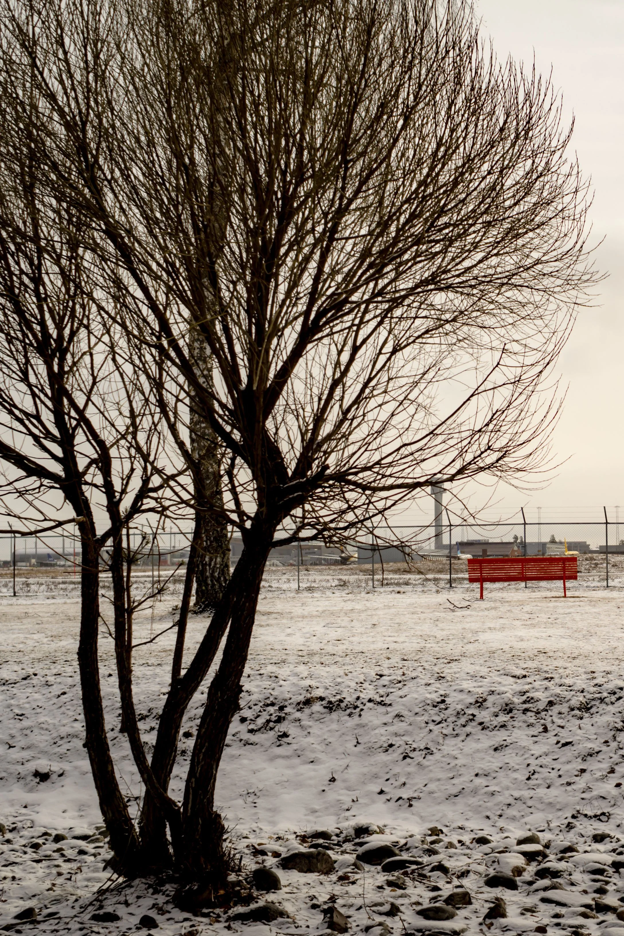 Norway-Photography-by-Satyaki-Ghosh_16.JPG