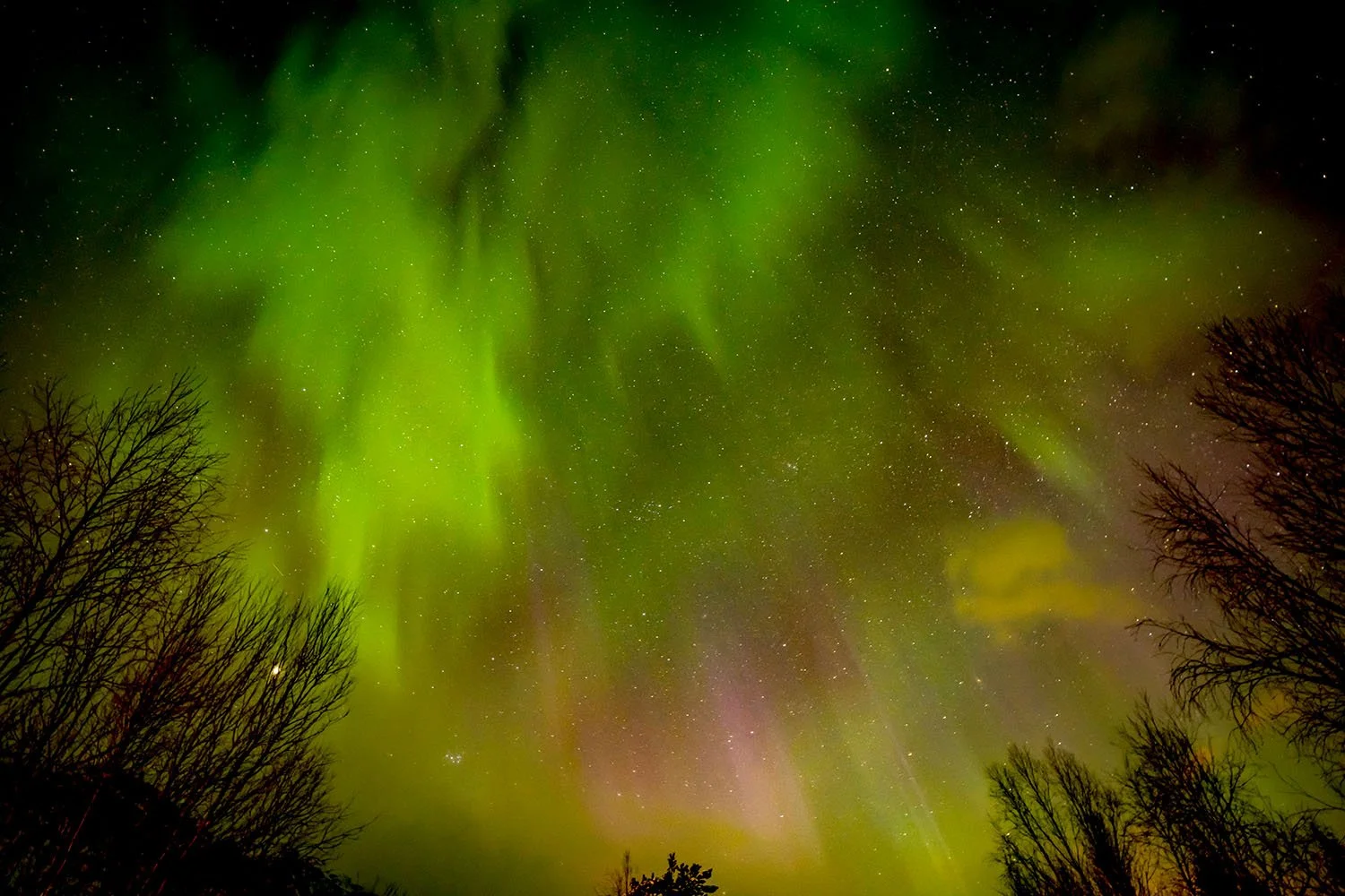 Norway-Photography-by-Satyaki-Ghosh_11.JPG