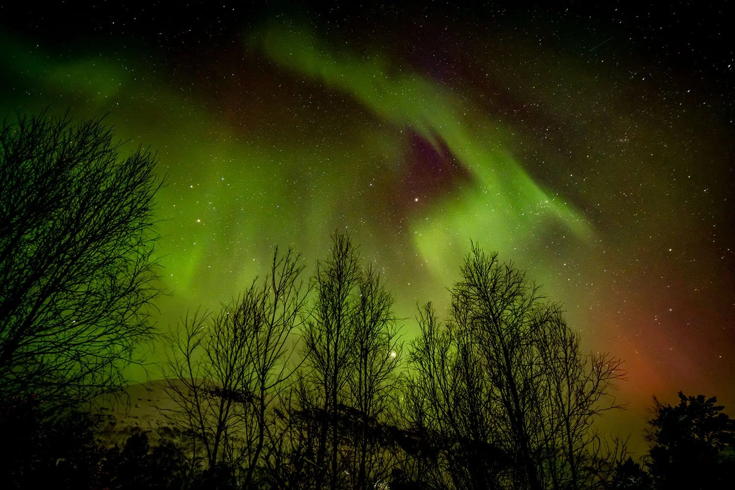 Norway-Photography-by-Satyaki-Ghosh_12.JPG