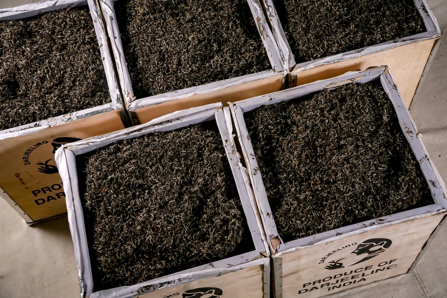 Boxes labelled Produce of Darjeeling India ready for shipment.