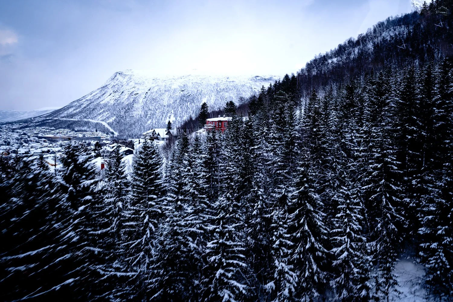 Norway-Photography-by-Satyaki-Ghosh_10.JPG