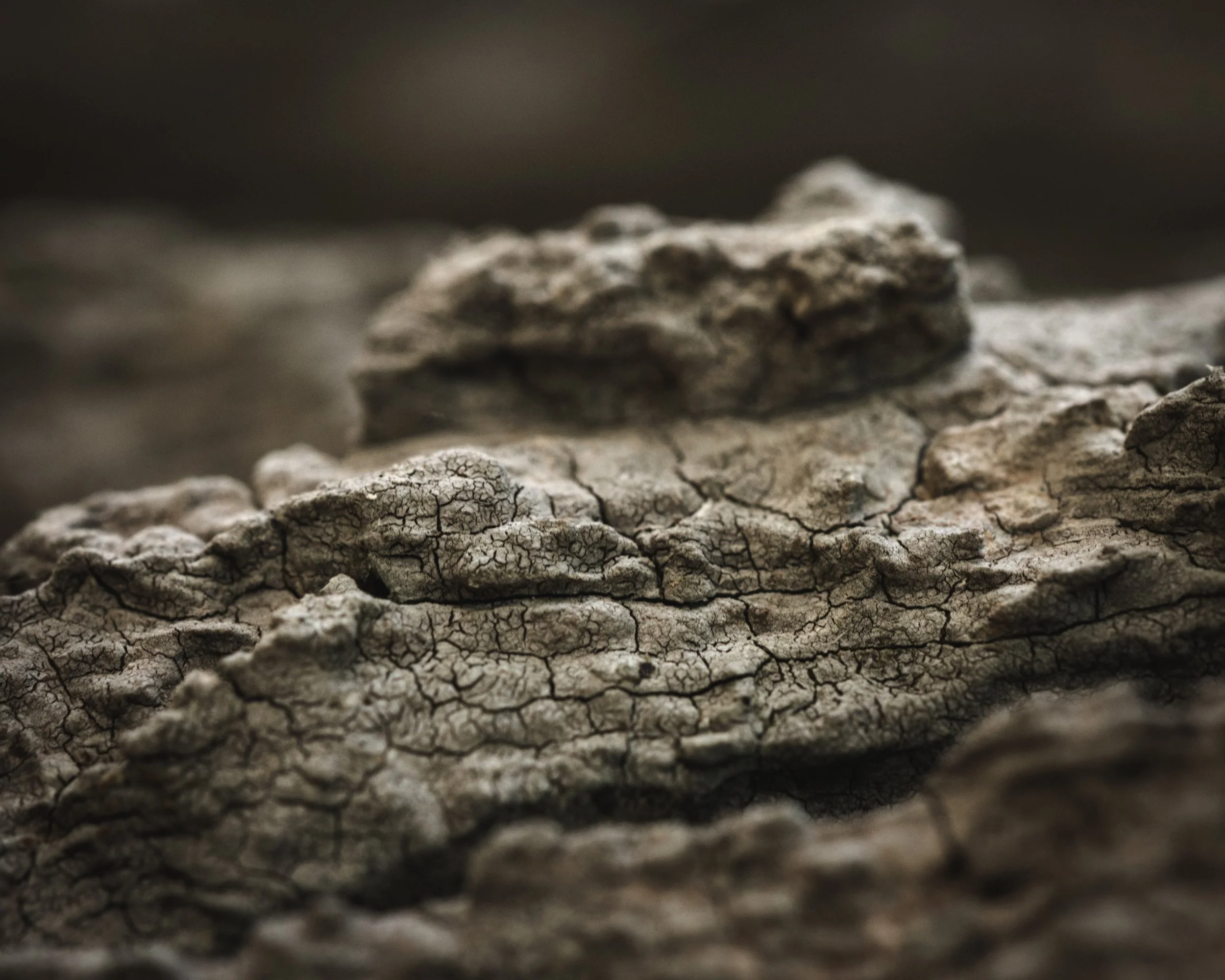 Abstract Mountains... A natural evolution from my study on macro photography is to abstraction techniques to my photography. This image here, the title says all of my intentions, focused on the small world using textures and shadows to achieve my des