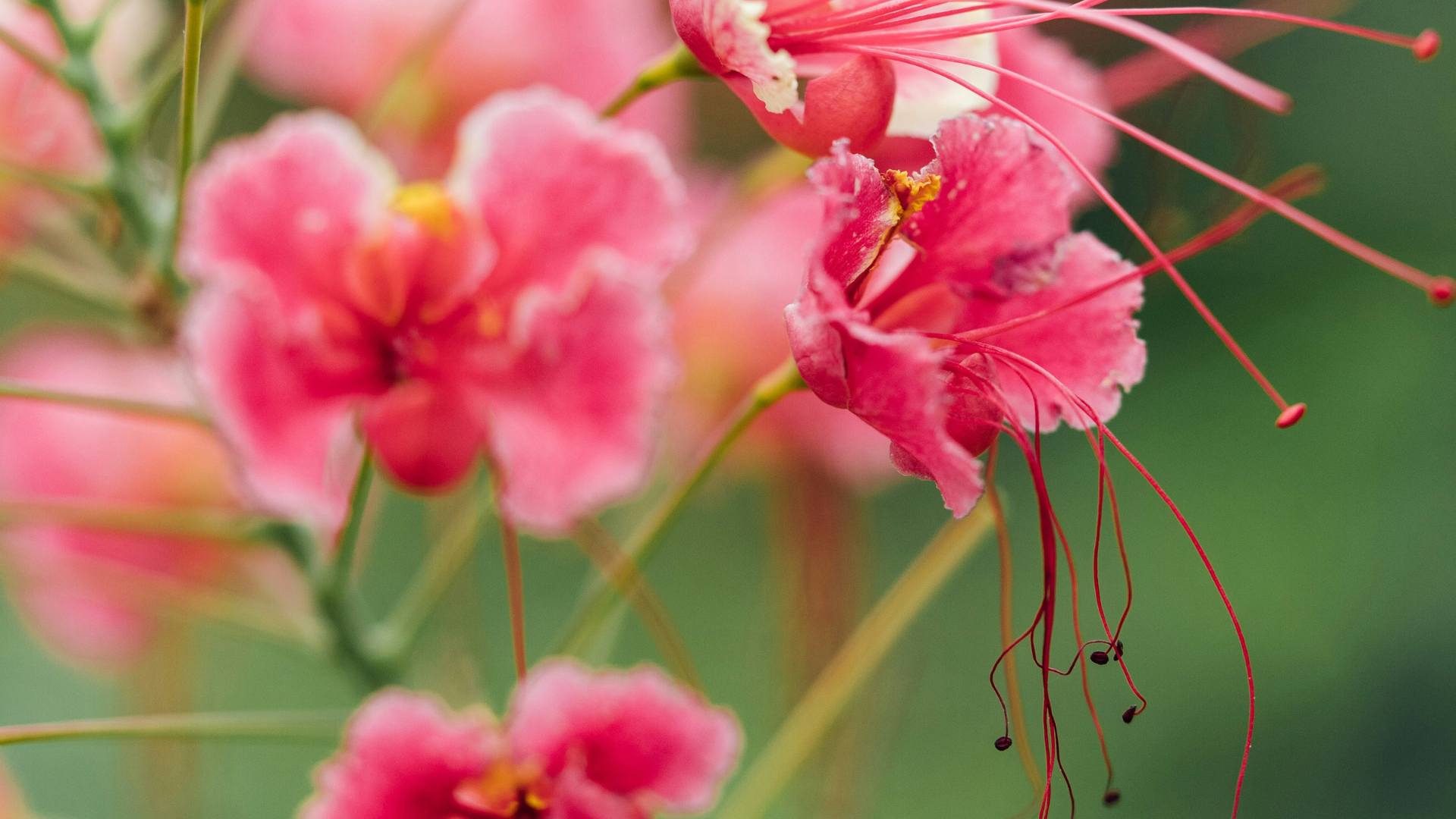 7 Signs You're Healing from Burnout (And Why They Might Feel Uncomfortable)