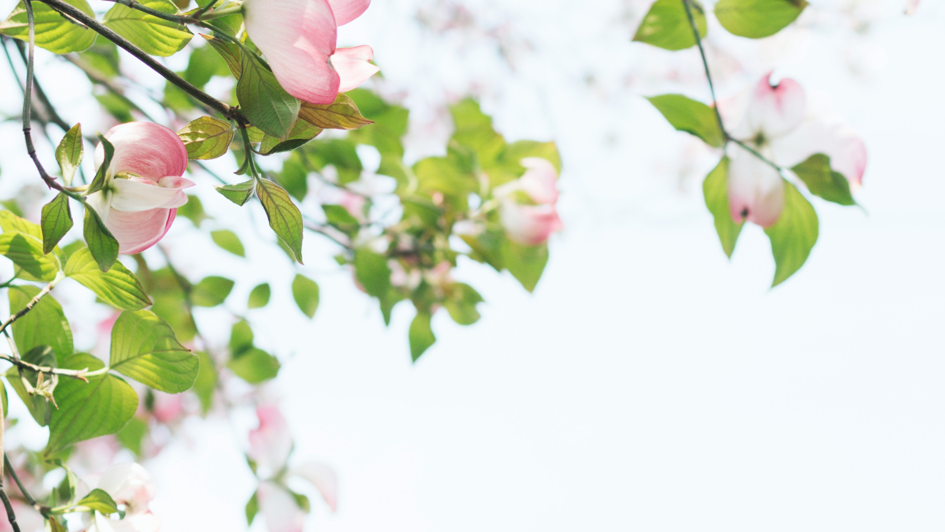 10 Ways to Reparent Your Inner Child (When You Didn't Get What You Needed)