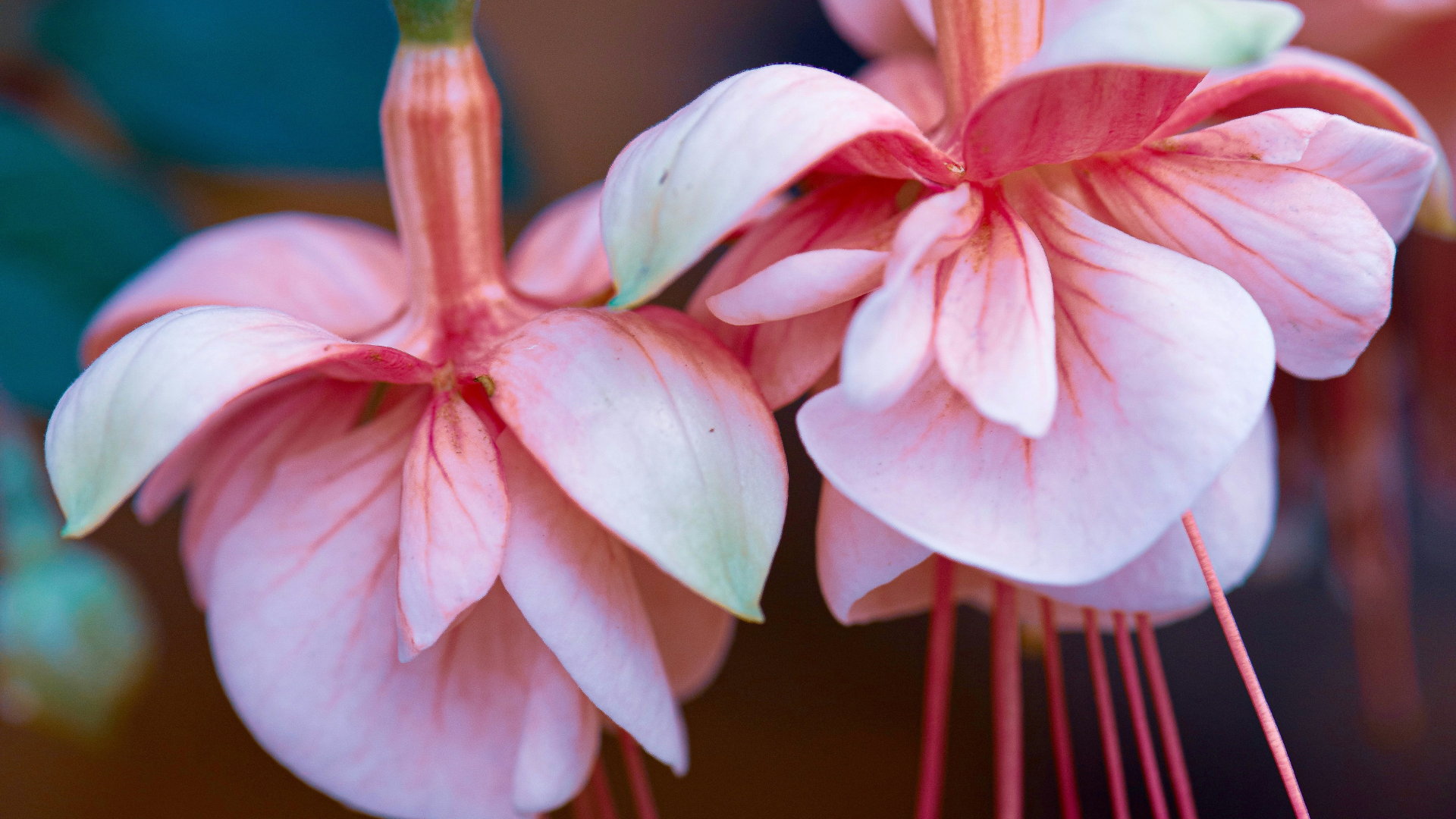 15 Best Books for Breaking Generational Trauma Cycles (That Actually Changed My Life)