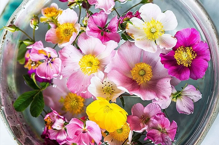 Pink, white and yellow flowers floating on water
