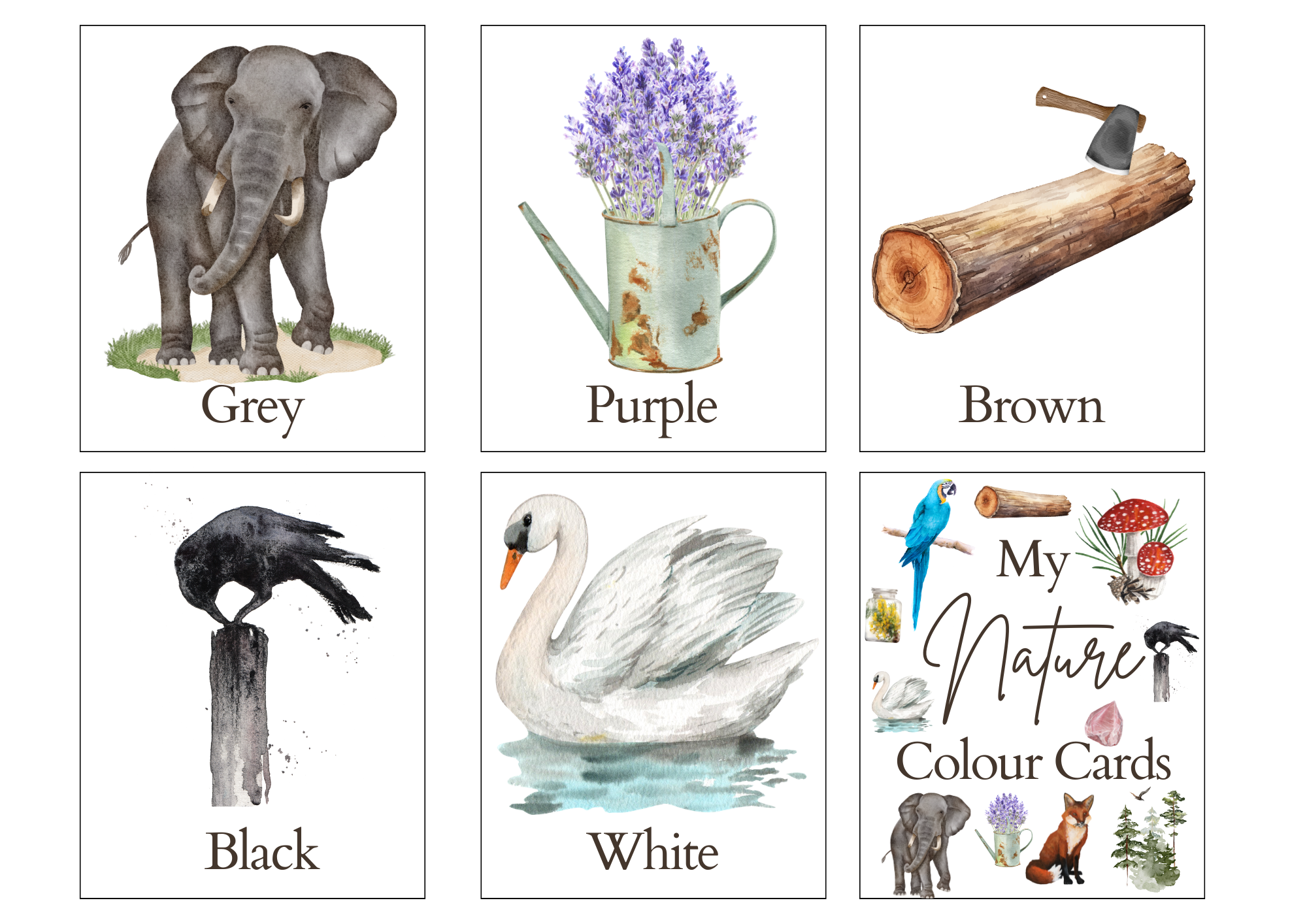 Nature Colour Flashcards (1).png