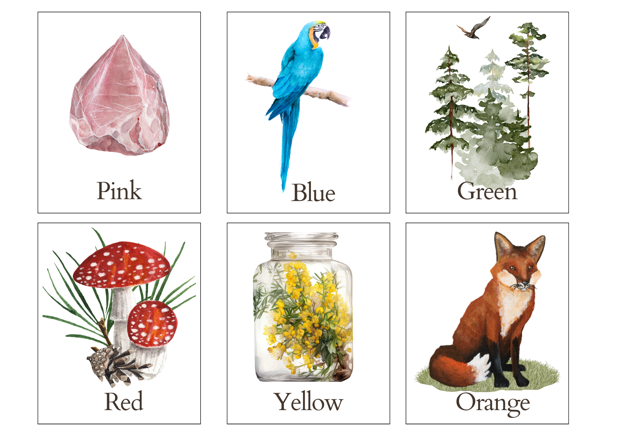Nature Colour Flashcards ... Ages 2 and Up ... Printable Digital Download