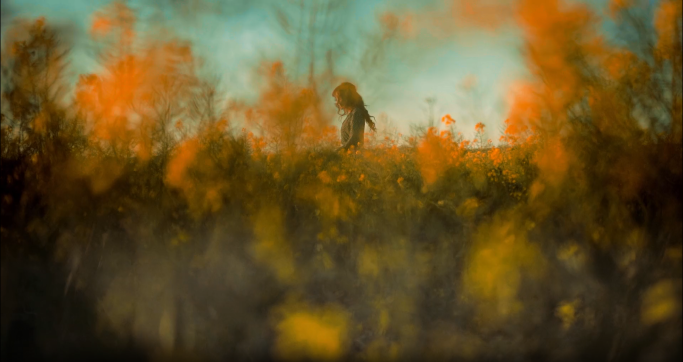 Field Keyframe.png