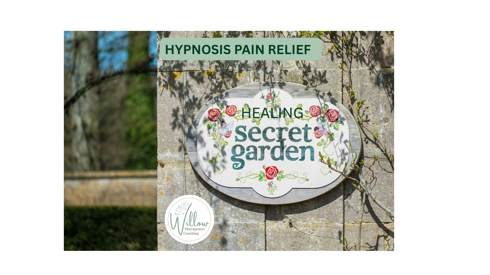 PHOTO HYPNOSIS PAIN RELIEF (1).png