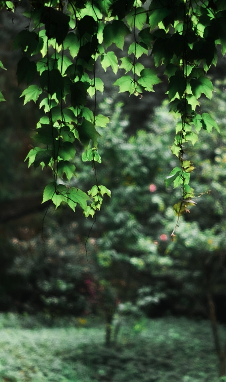 Screenshot+2026-06-06+190556.png