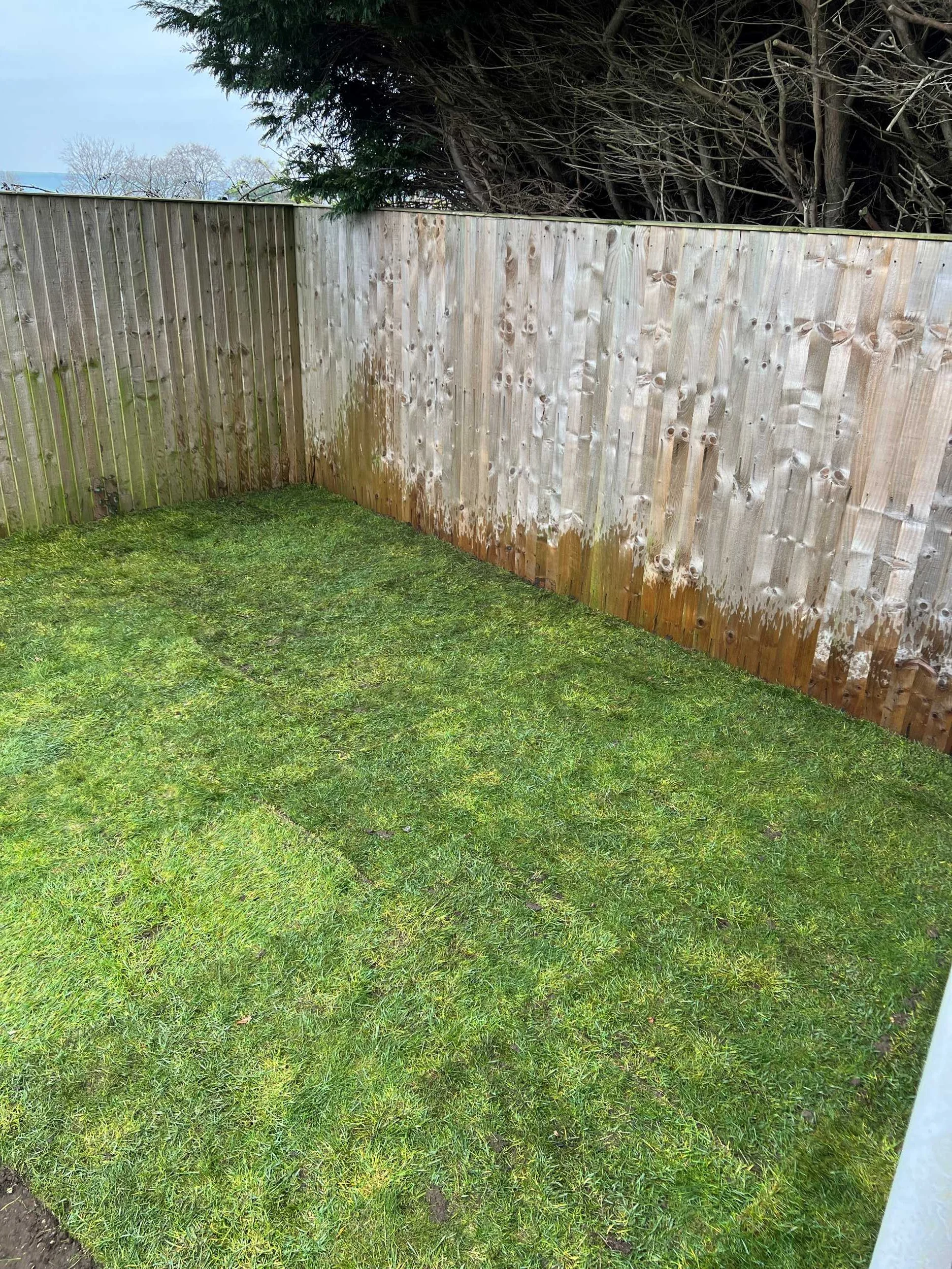 Turf, garden landscaping