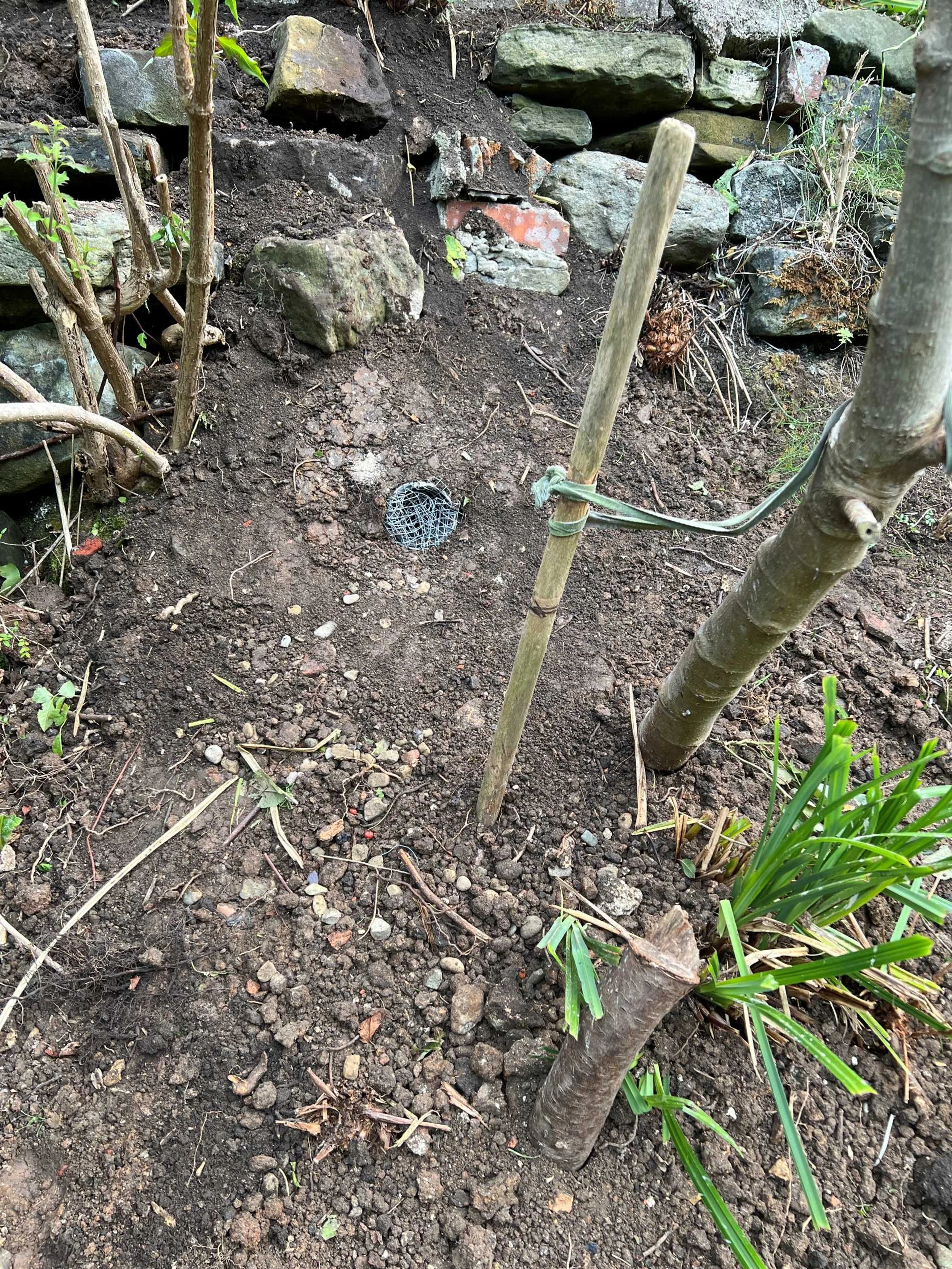 Exposed end of drainage pipe covered to prevent access from rodents