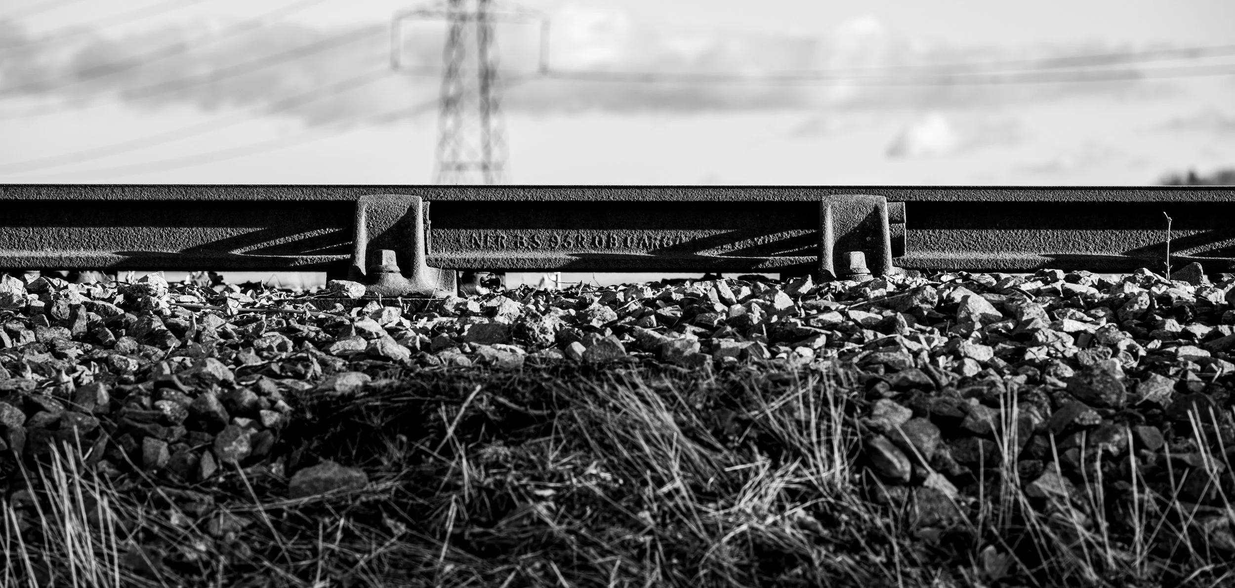 Rails (Digital Dowload)