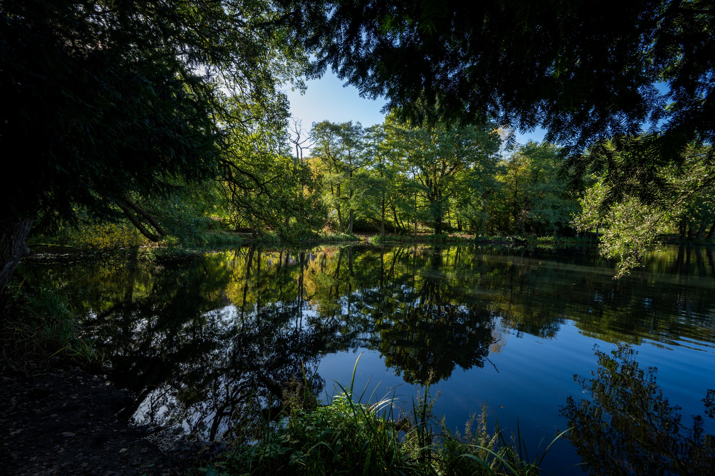 Reflections on the Lake (Download)