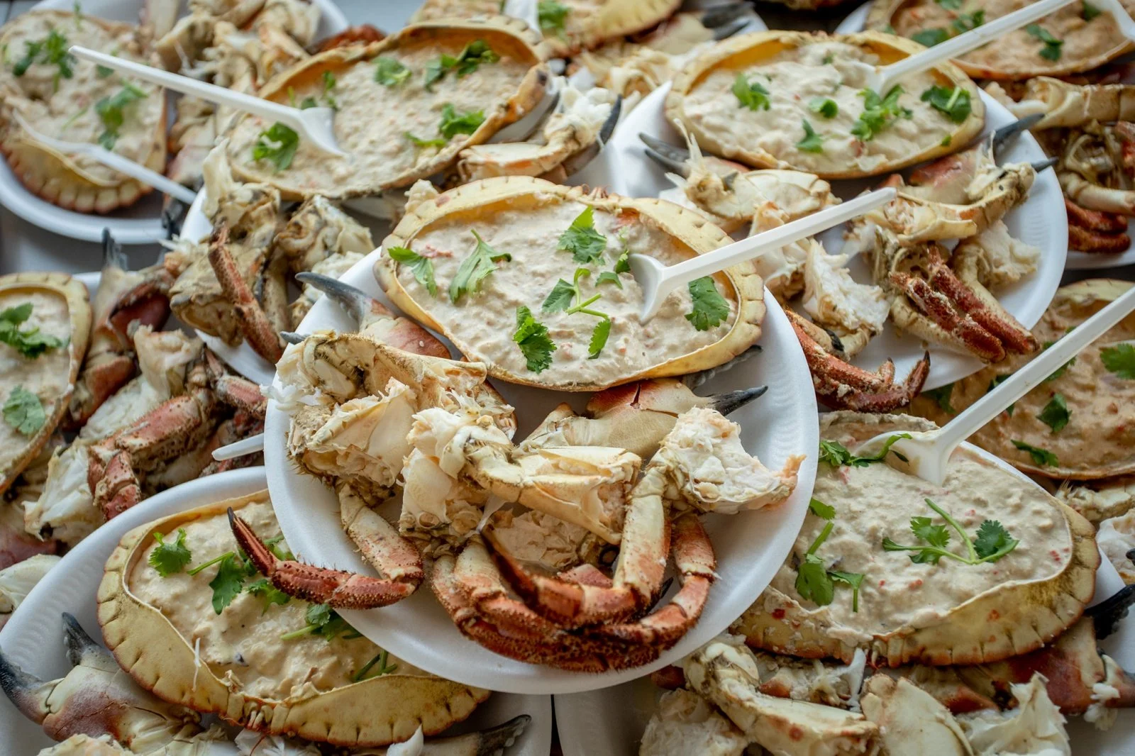 Fisherman's Garden of Olhanense Olhão, in front of the Ria Formosa. The venue offers a wide variety of fresh seafood, such as spider crab, seafood rice, lobster, clams, and oysters, prepared according to traditional recipes.