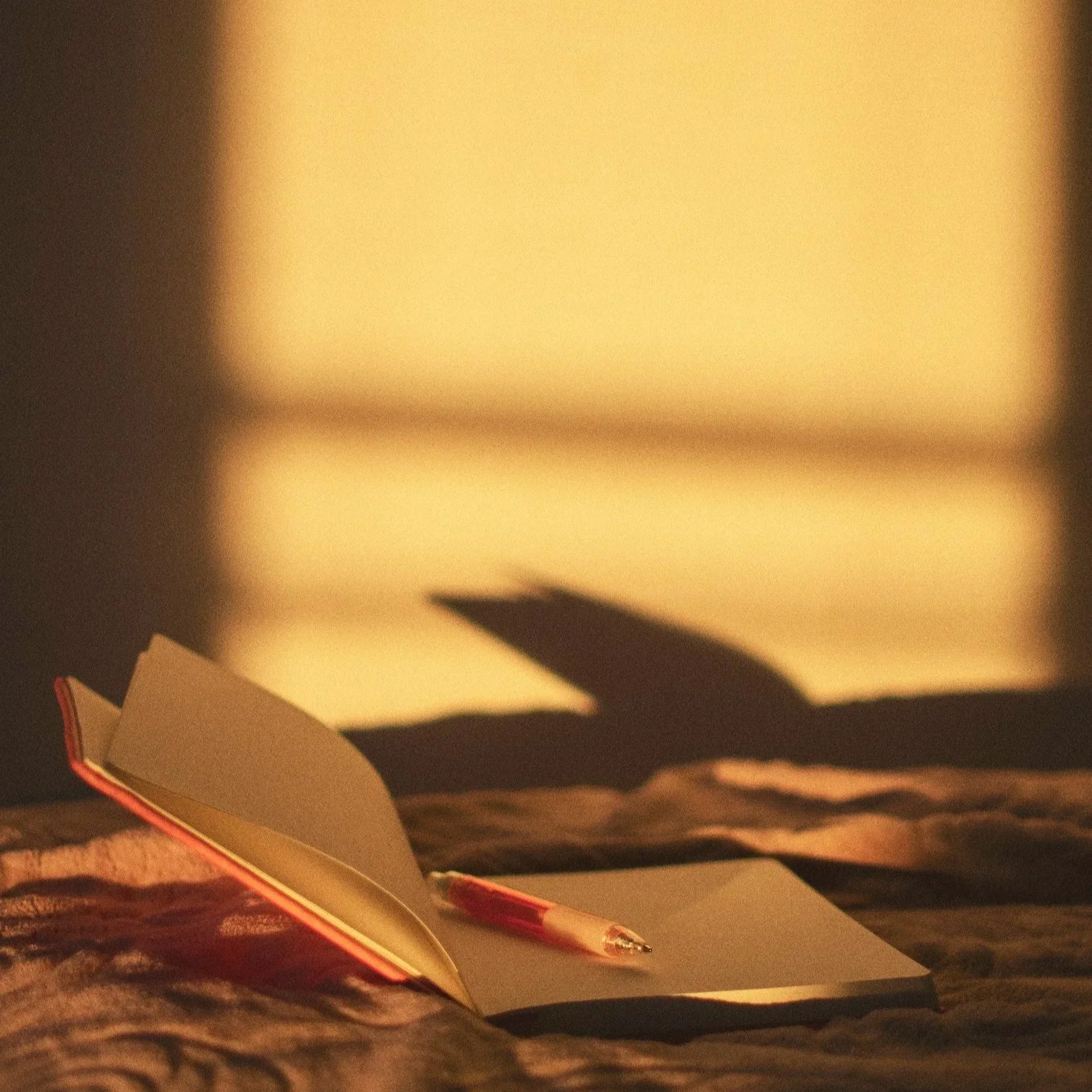 Le Plan de fin de vie