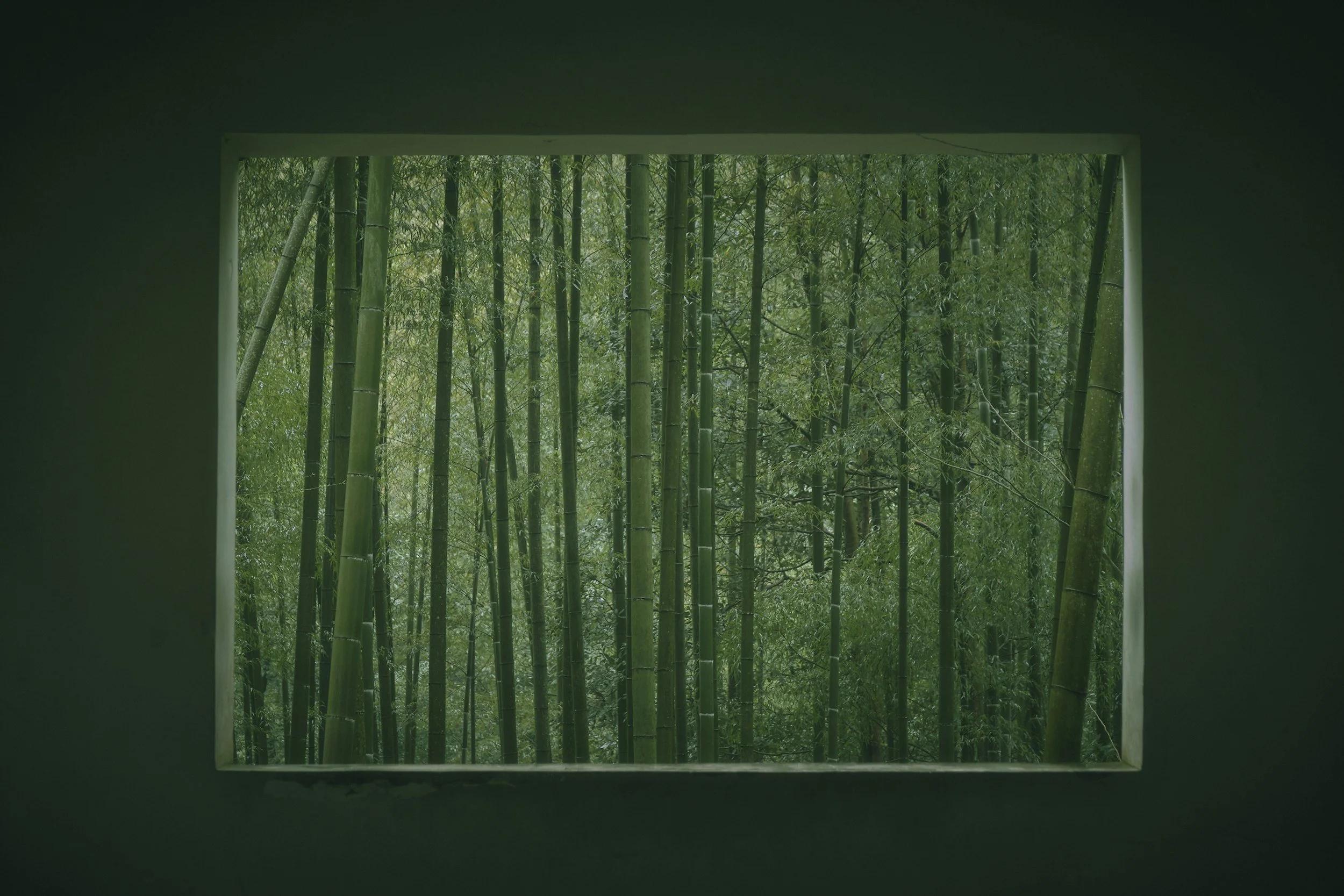 Aide médicale à mourir : préparer l’espace humain