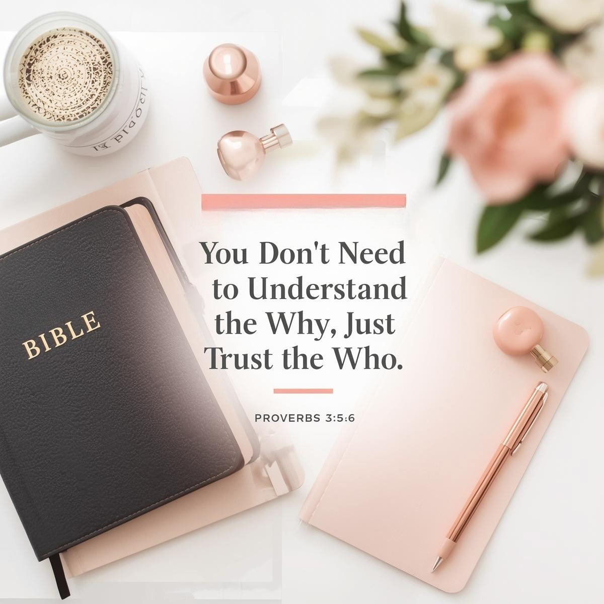 You Don’t Need to Understand the Why, Just Trust the Who
 - September 19, 2025   