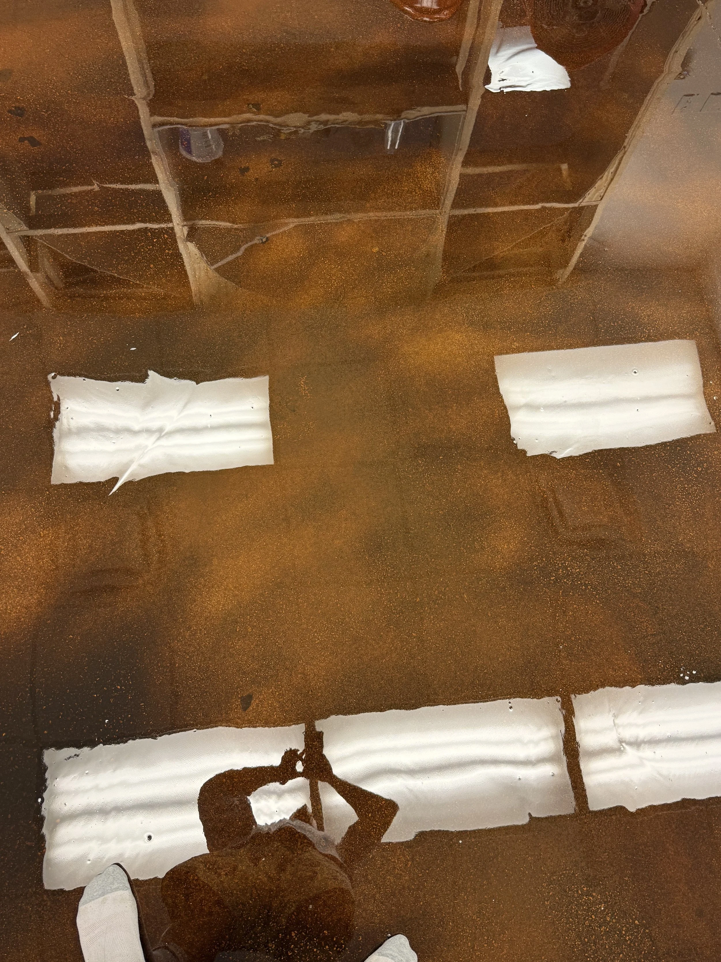 HCP_Flr-EPX Rita IMG_0750 2.jpg