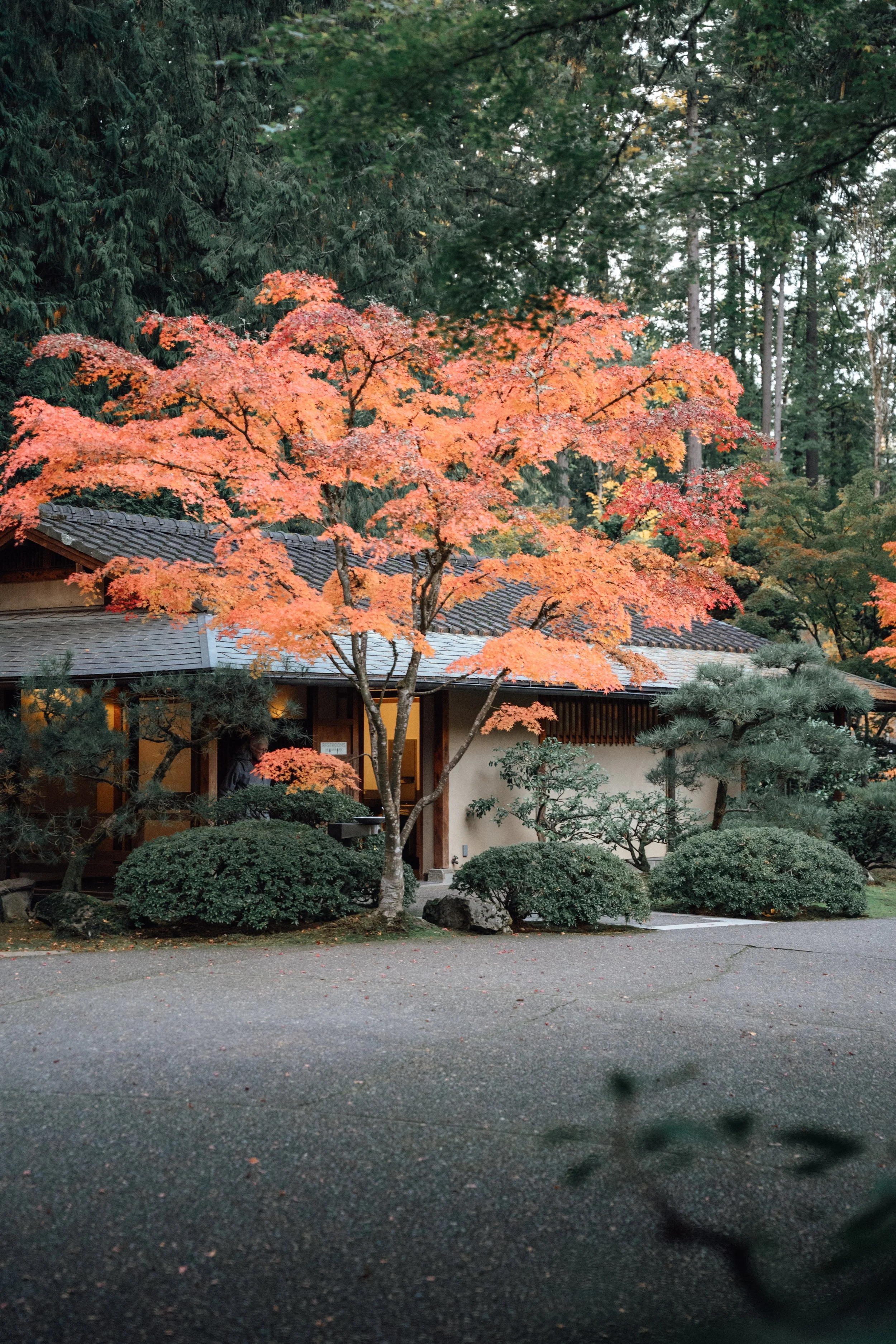 DSC01201.JPG