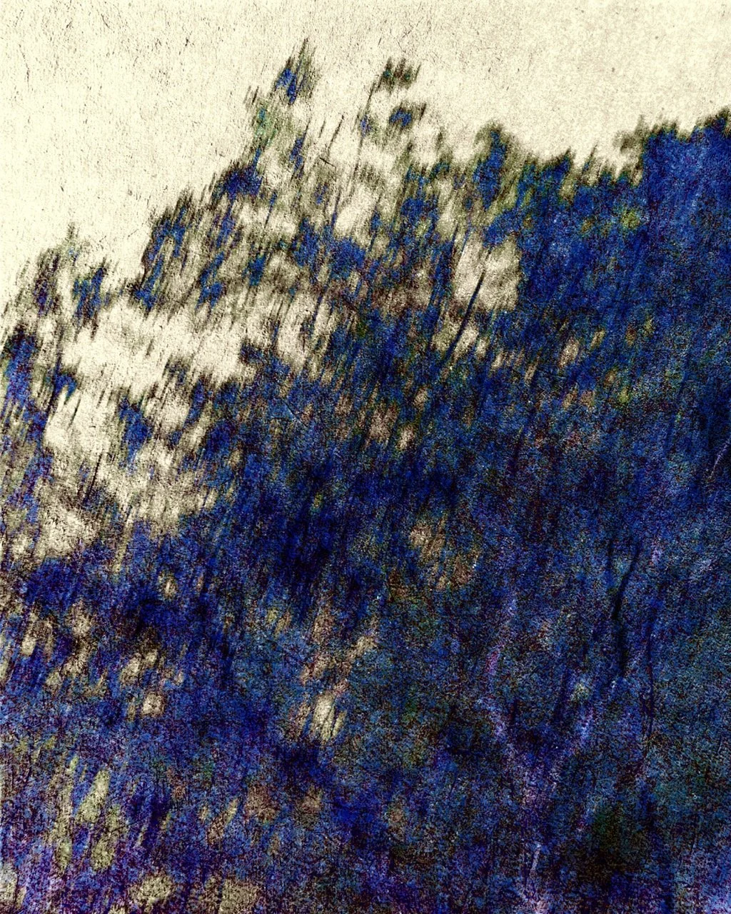 Arbre_Bleu_Nuit_01_juin26 - Grande 2.jpeg