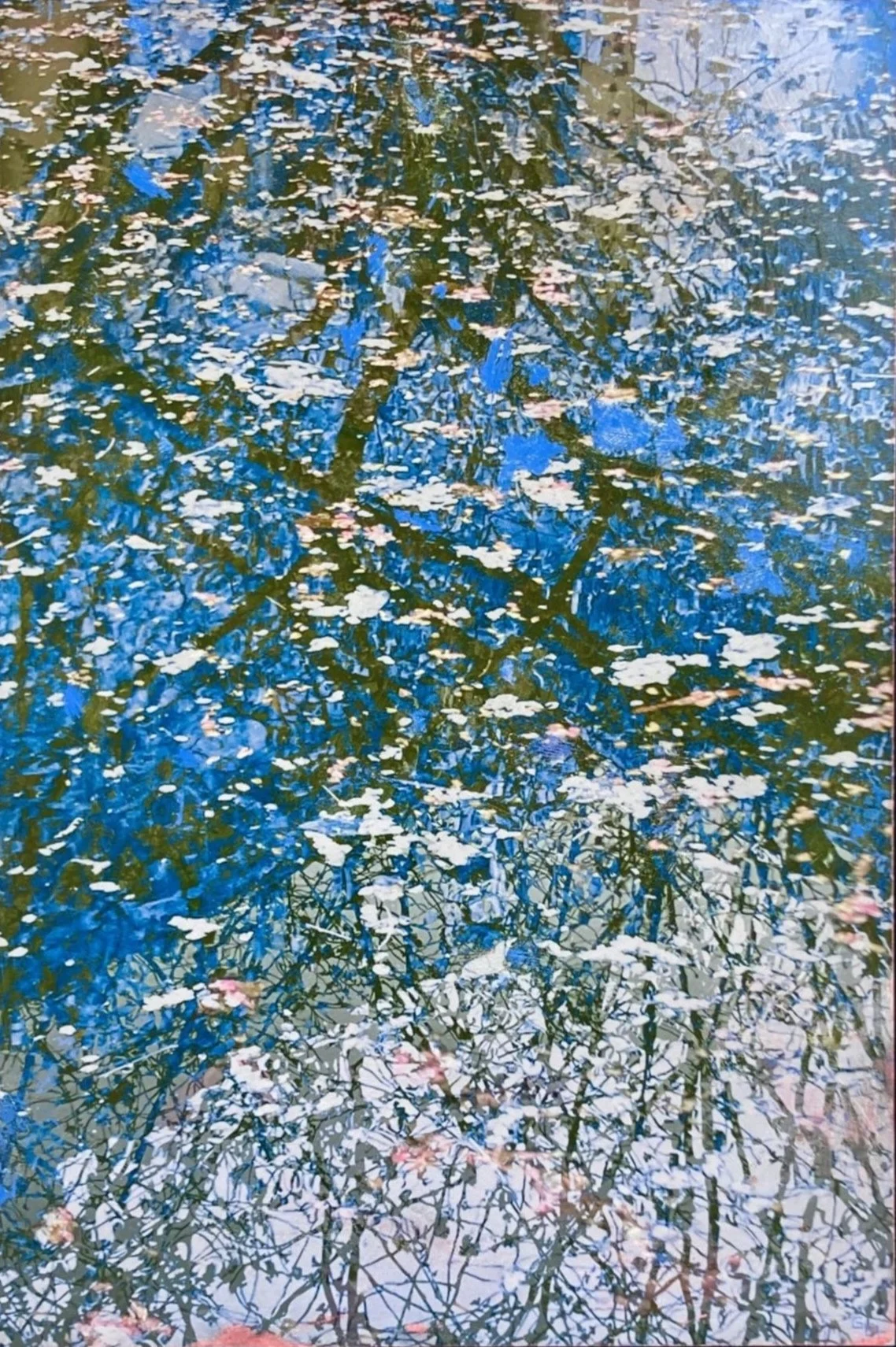 "Fleuraison au Petit Palais" - 67 x 97 cm dans caisse noire - Prix Jean Larivière -