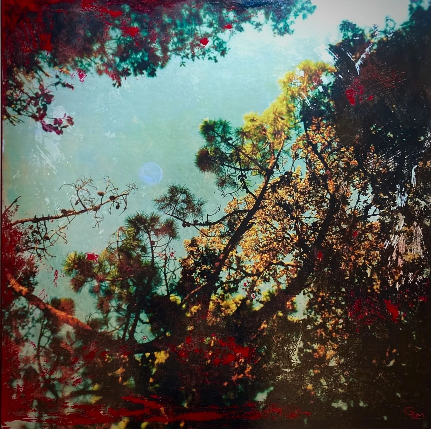 "Librement respire" - 84 x 84 cm - vendu