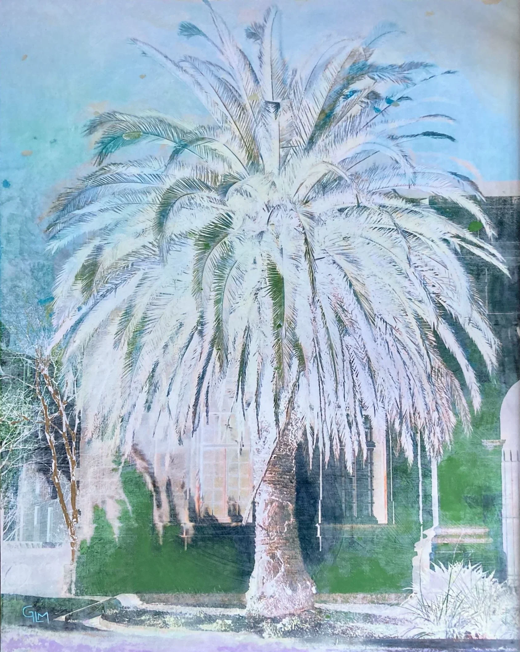"Le palmier royal" - 84 x 104 cm dans caisse - vendu