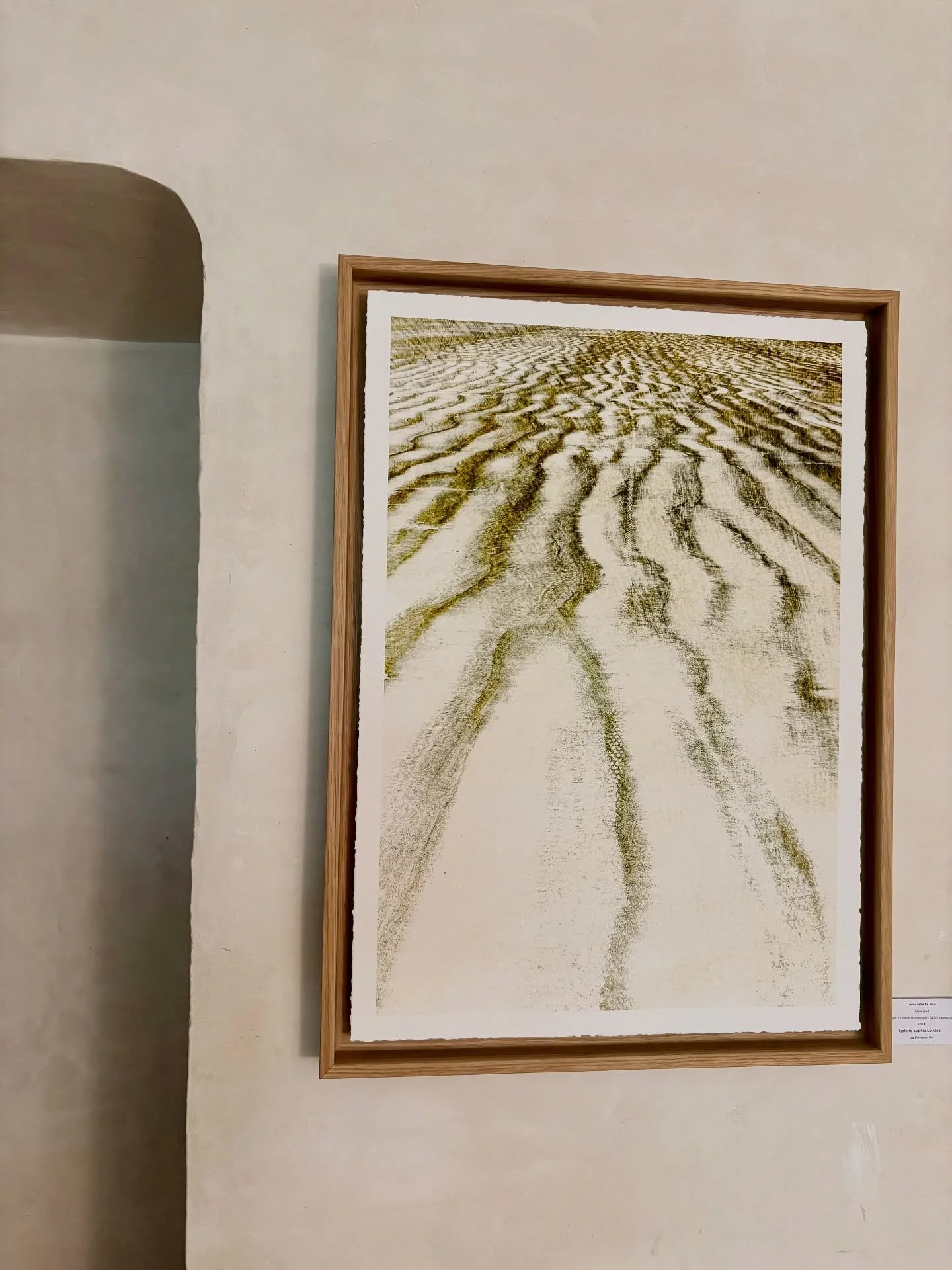 Libre jeu I 

Tirage sur papier Hahnem&uuml;hle Mus&eacute;um Etching aux bords frang&eacute;s
Format : 42 x 59,4 cm - &eacute;dition limit&eacute;e de 5
Ici contrecoll&eacute; sur dibond avec caisse ch&ecirc;ne 47 x 64 cm

📨 Sur commande 

La s&eac