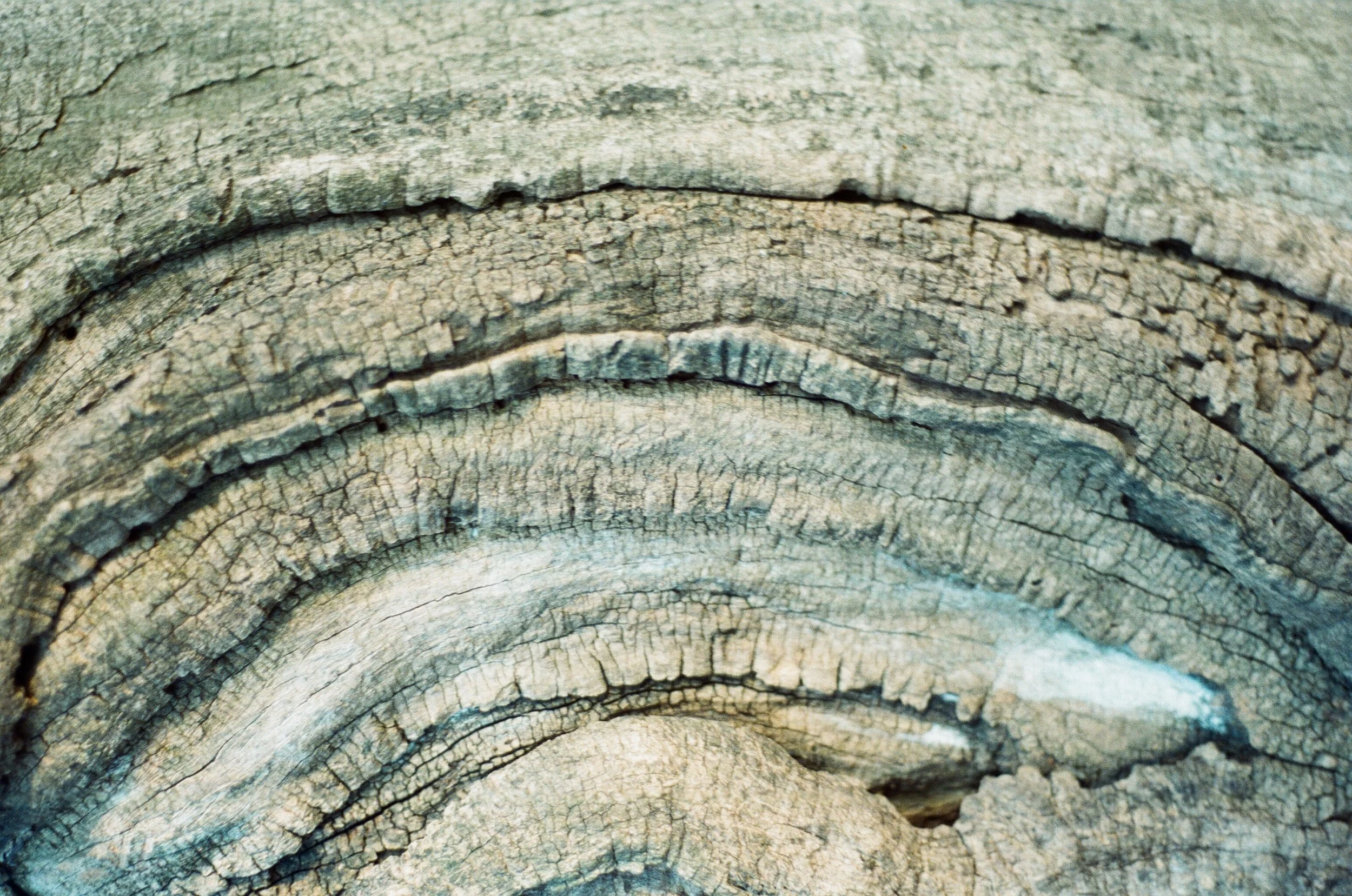 001606350007.jpg