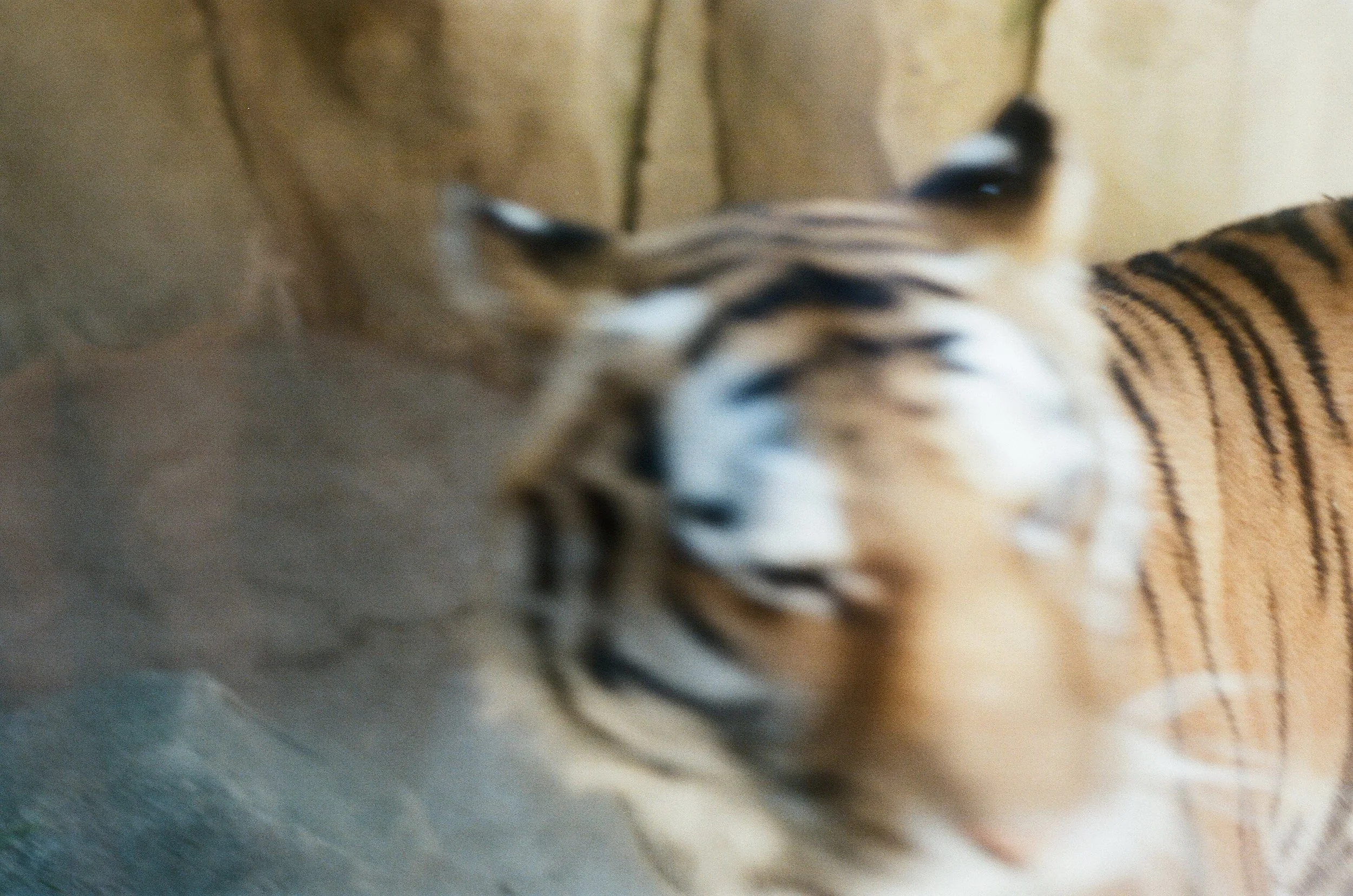 001672280019.jpg