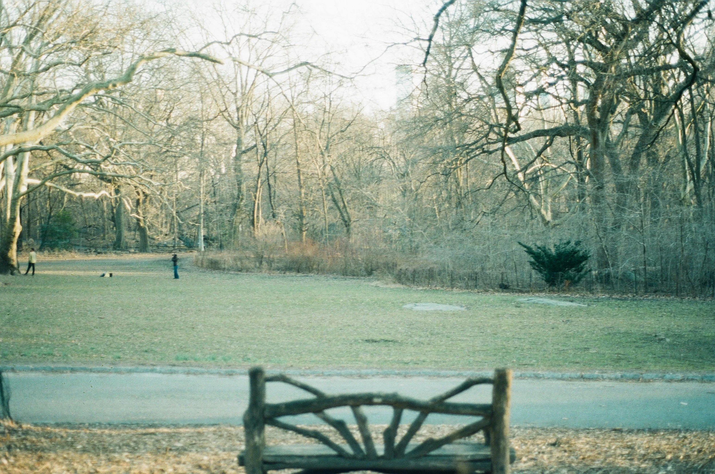 001606350010.jpg