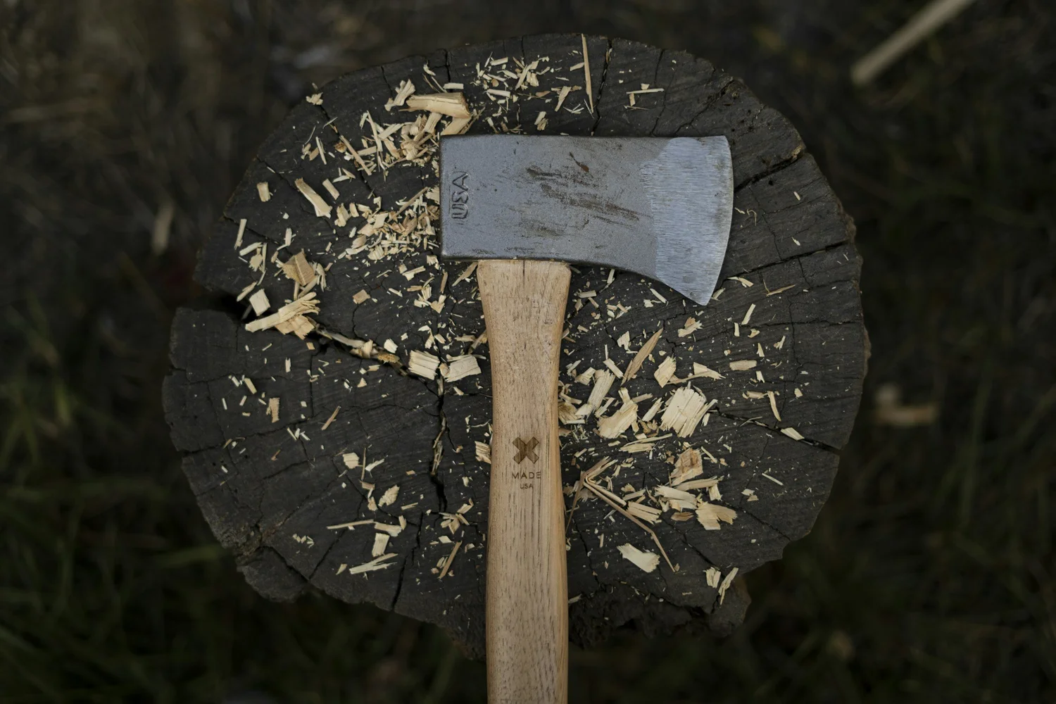 Appalachian Homestead