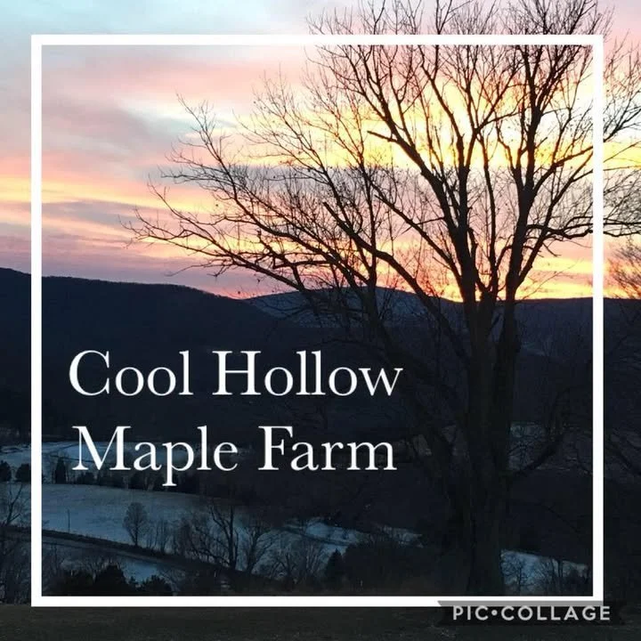 Cool Hollow Maple Farm