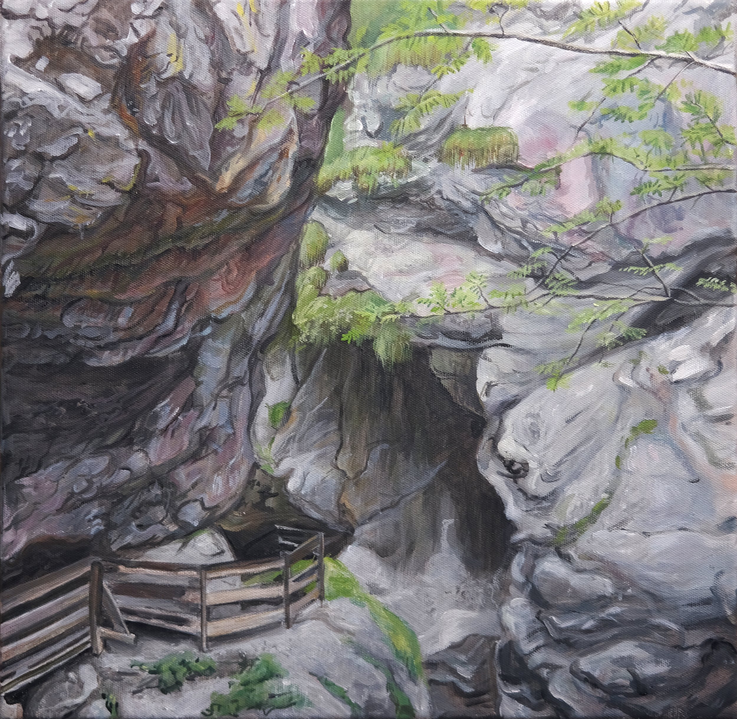 26_Eine Grotte in der Rosengartenschlucht.jpg