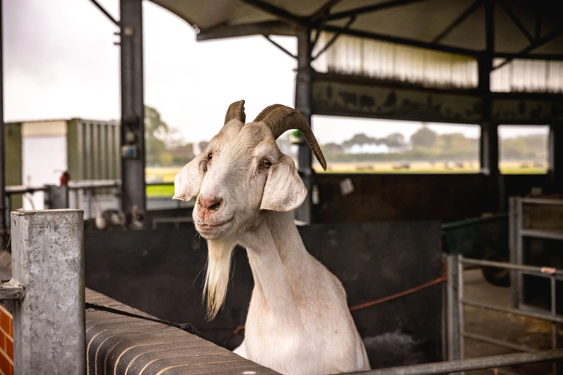 KinsPhotographic_Washbrooks_Family_Farm-79.webp