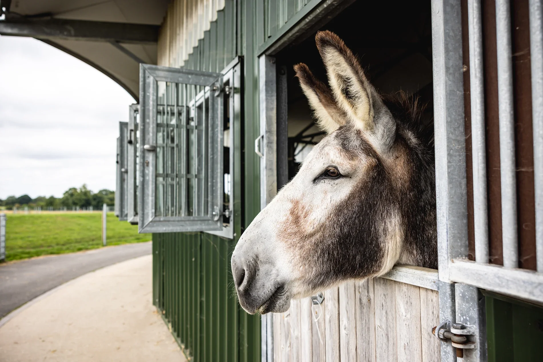 KinsPhotographic_Washbrooks_Family_Farm-73.webp