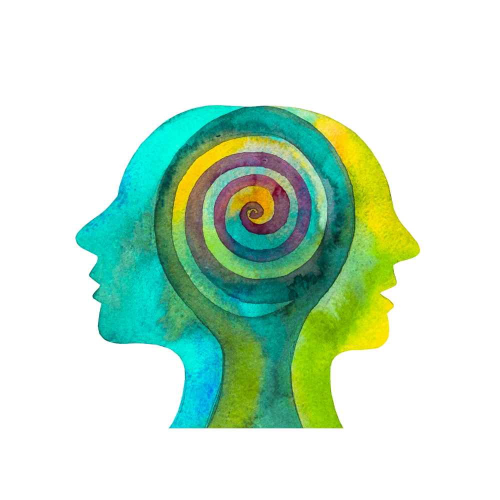 Grafik des menschlichen Nervensystems mit Fokus auf Trauma und Selbstregulation