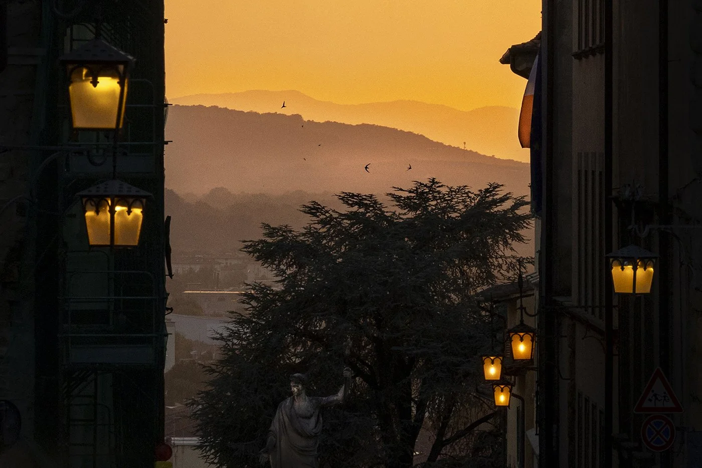 Mauersegler fliegen über einer Gasse in der Toskana während sich das Abendrot in den Lichtern der Laternen widerspiegelt.
